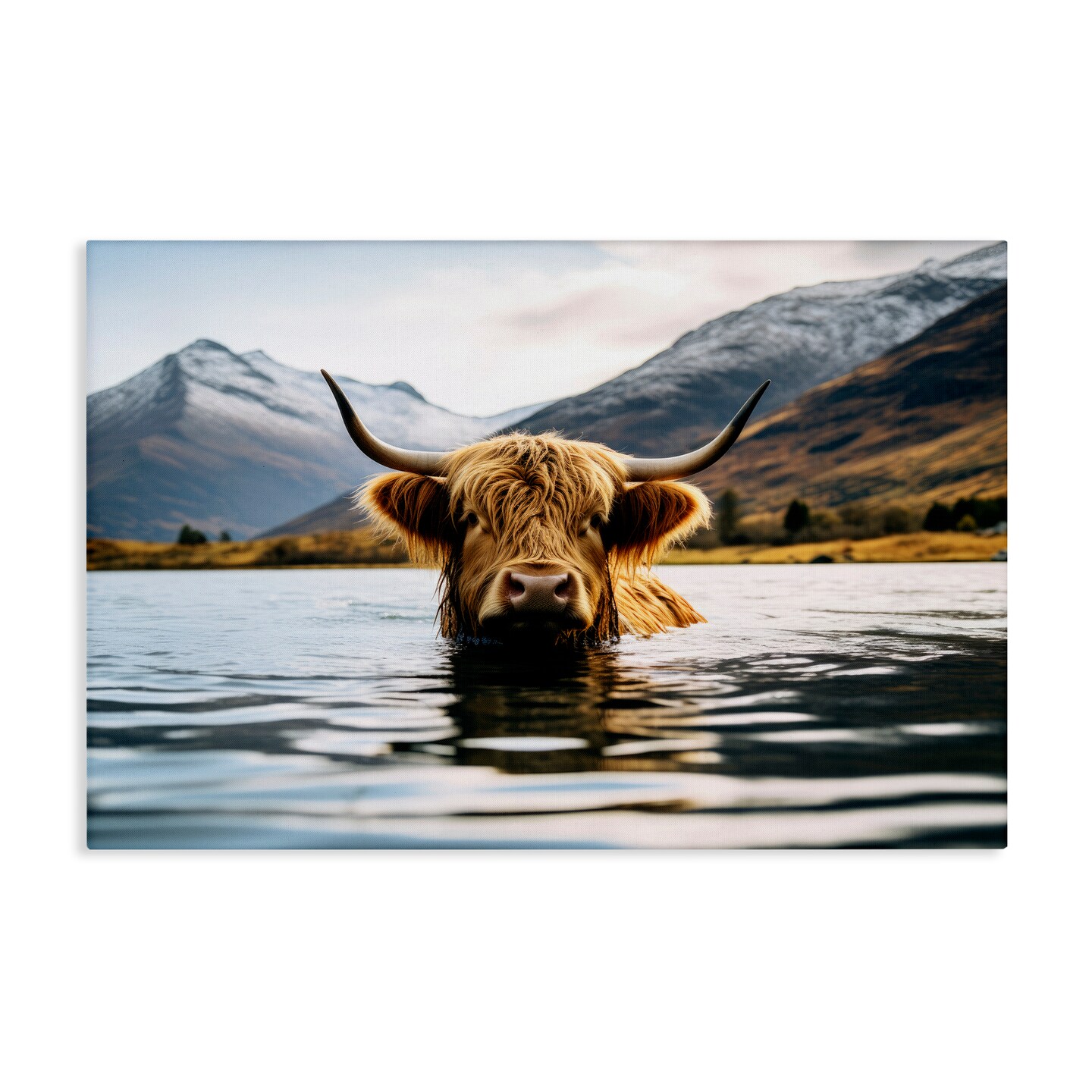 Stupell Industries Cattle Peeking from Water Canvas Wall Art Design by Raymond Powers