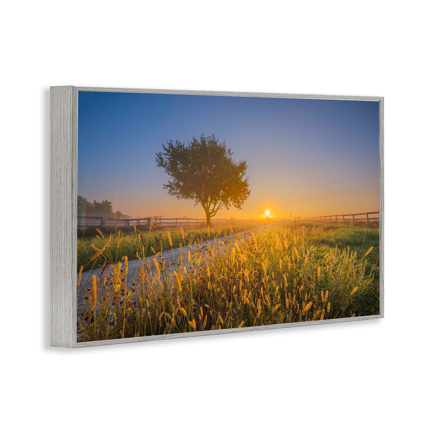 Stupell Industries Rising Sun Horizon Framed Giclee Wall Art Design by Marty Hulsebos