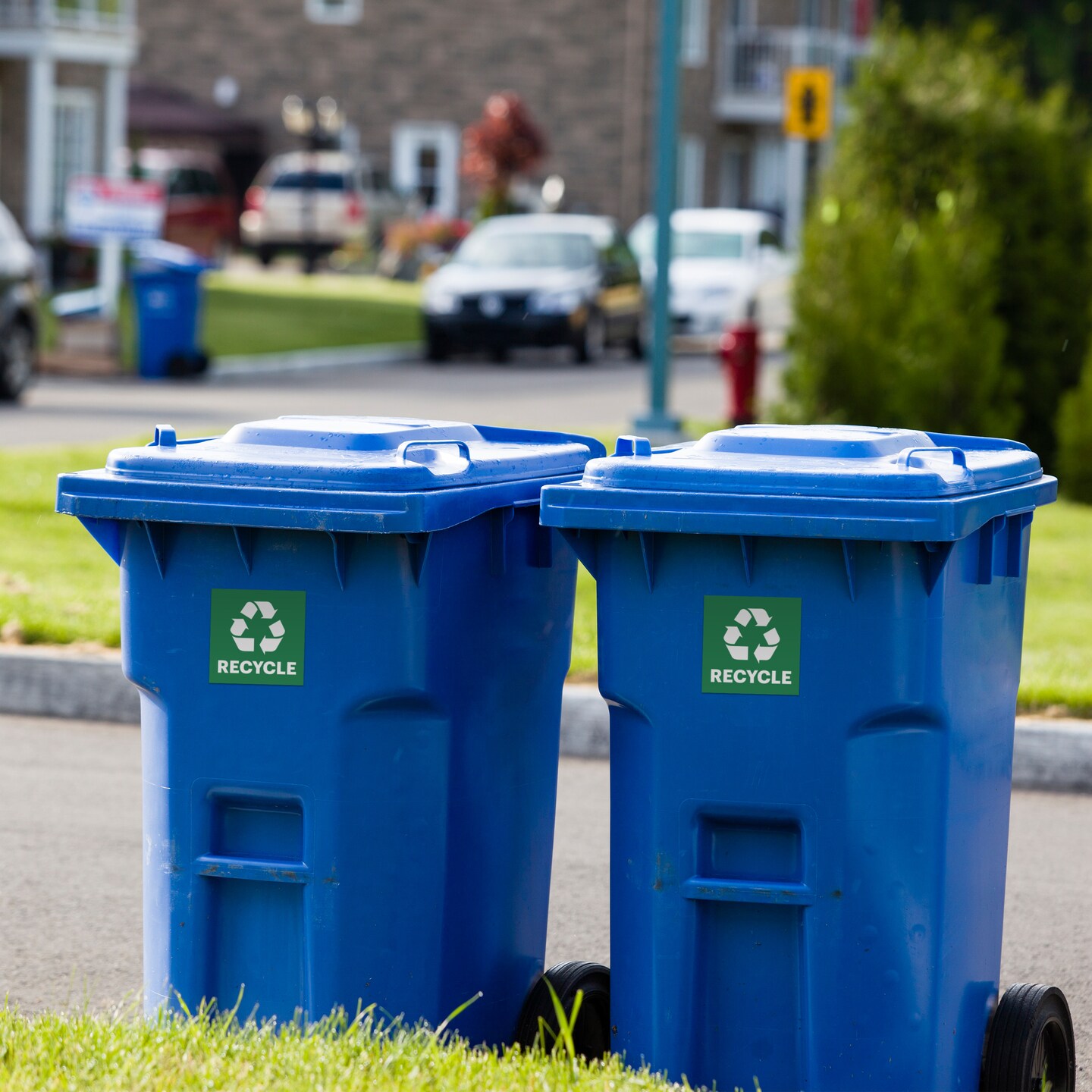 Avery Recycle Stickers, Green Recycle Signs for Bins, Containers, Trash Cans and Walls, Waterproof, UV Resistant, Preprinted, 4" x 4", 8 Total