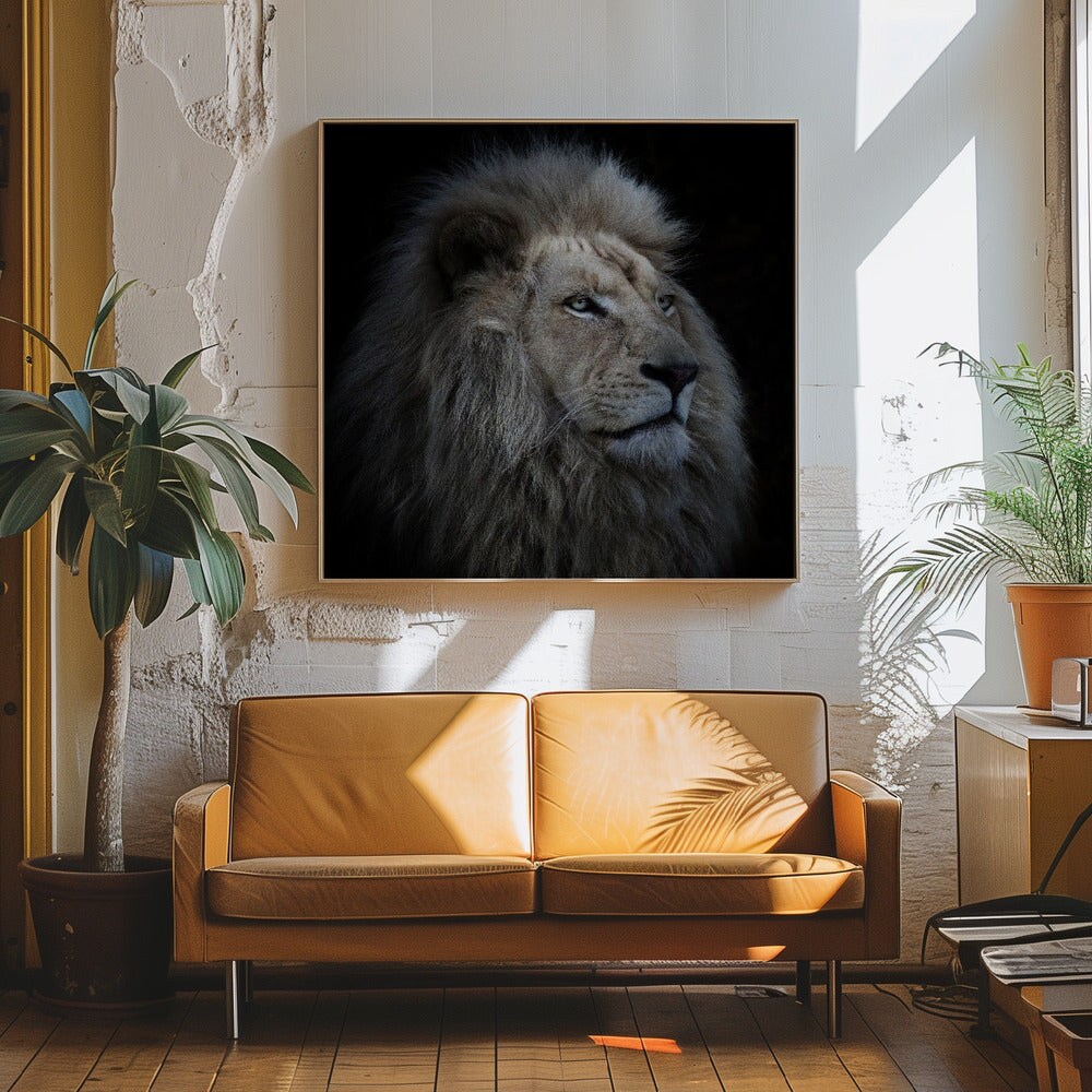 Proud Lion Square Canvas Art | Modern Home Wall Decor 24x24 Canvas - Corporate Office Art