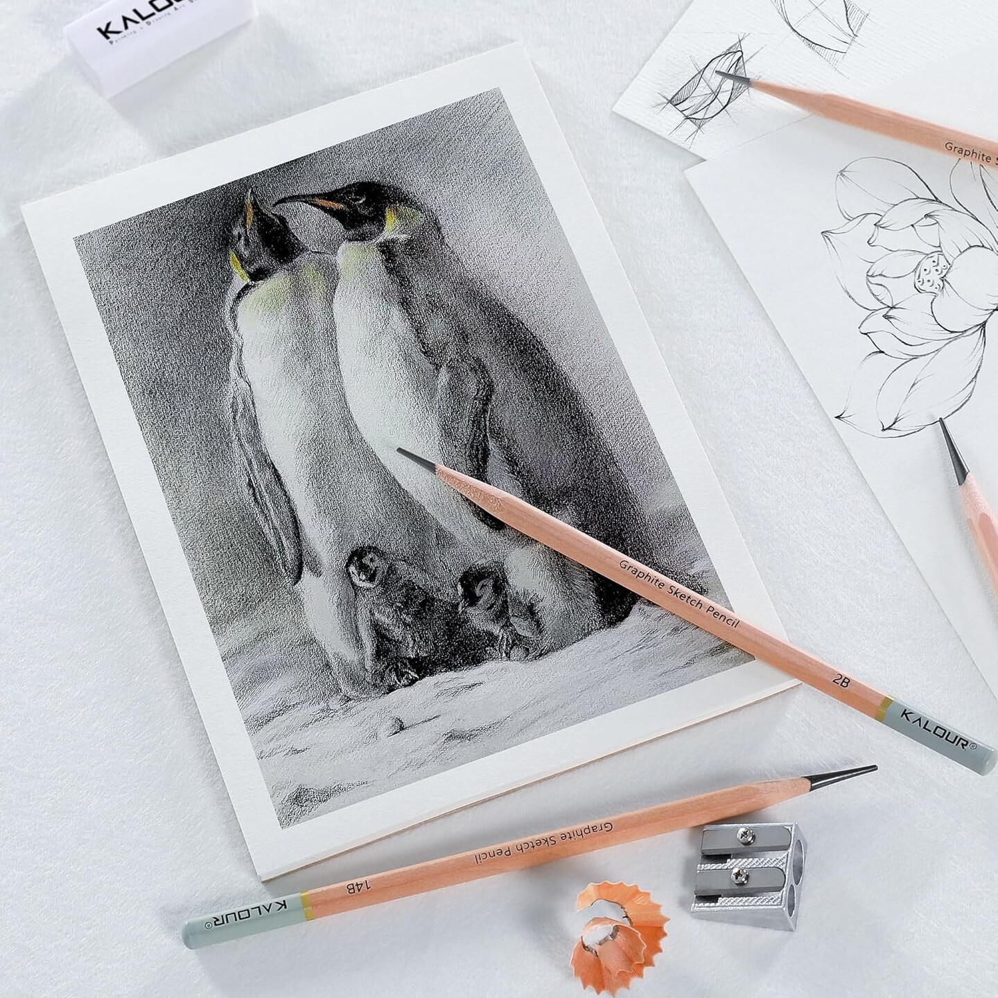 18-Piece Professional Sketch Pencil Set - Includes 5H to 14B Pencils,Graphite, Vinyl Eraser, Kneaded Eraser,Sharpener and Paper Blending Stump - Ideal for Artists and Beginners