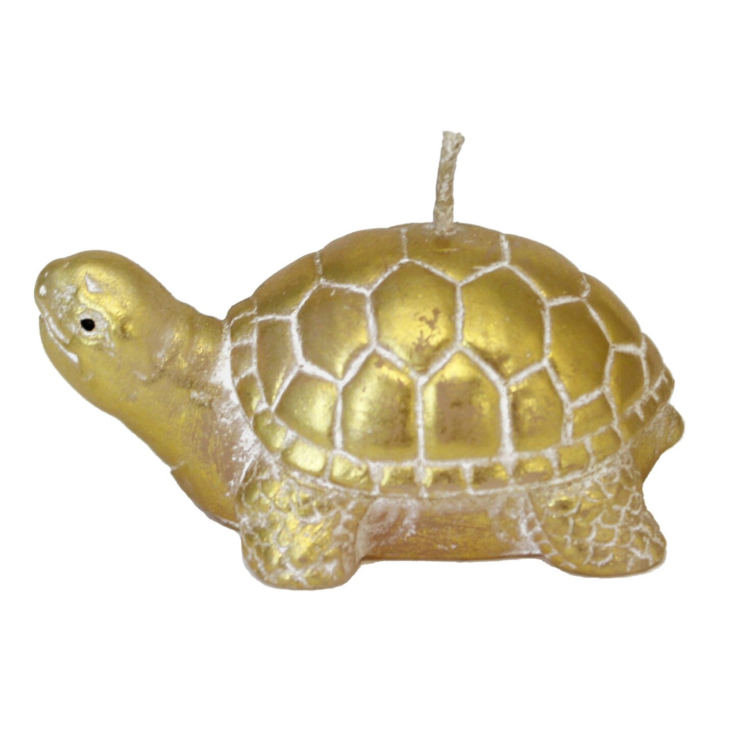 Gold Turtle Candle