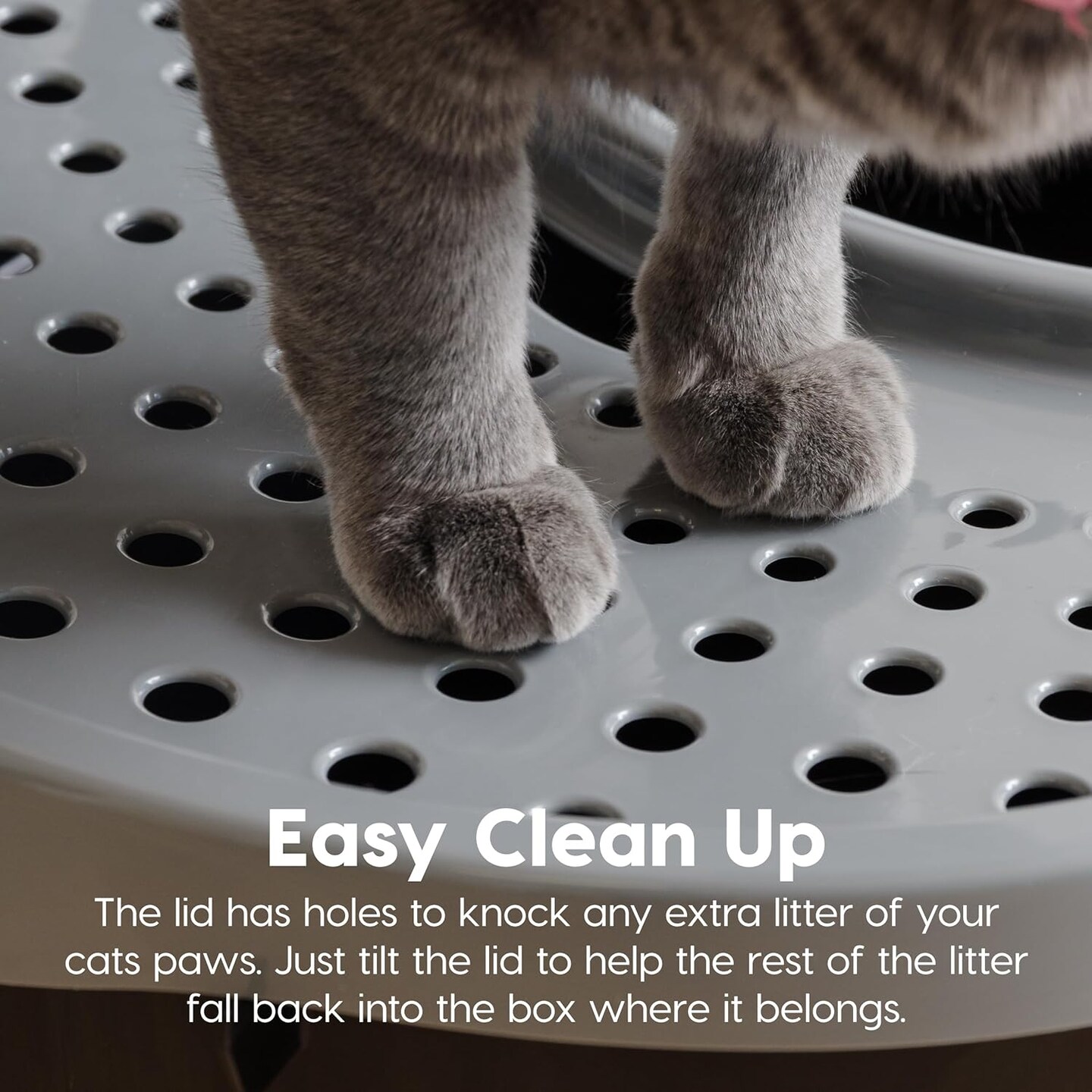 IRIS USA Oval Top Entry Cat Litter Box with Litter Catching Lid, Privacy Walls and Scoop