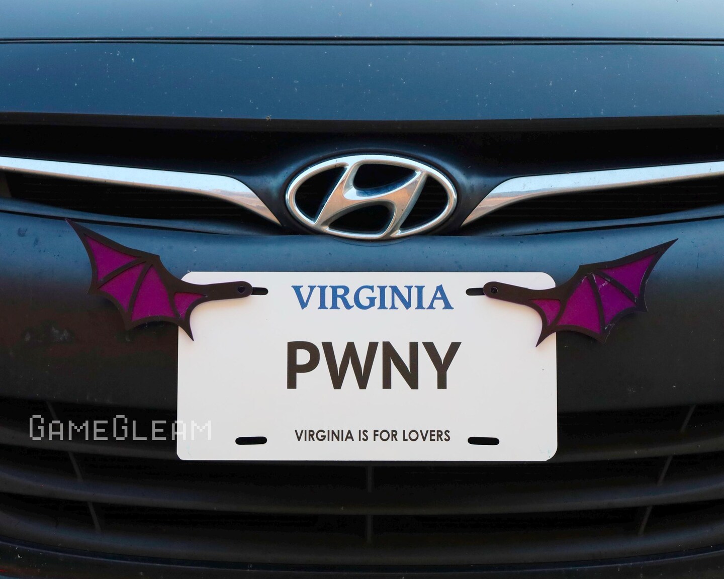 License Plate Bat Wings One Pair Pick your colors, Holographic