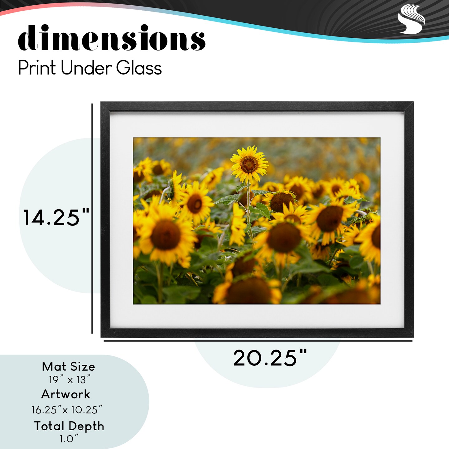 Stupell Industries Central Sunflower in Meadow Framed Print Under Glass, design by Andy Crawford