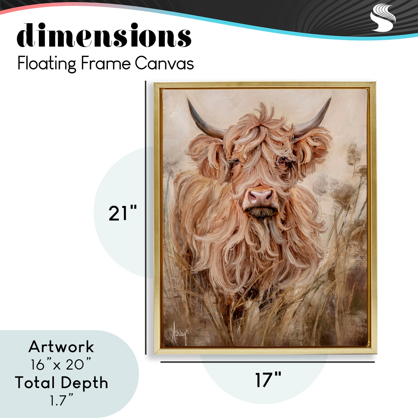 Stupell Industries Curly Haired Highland Cattle Floating Frame, design by Ashley Bradley