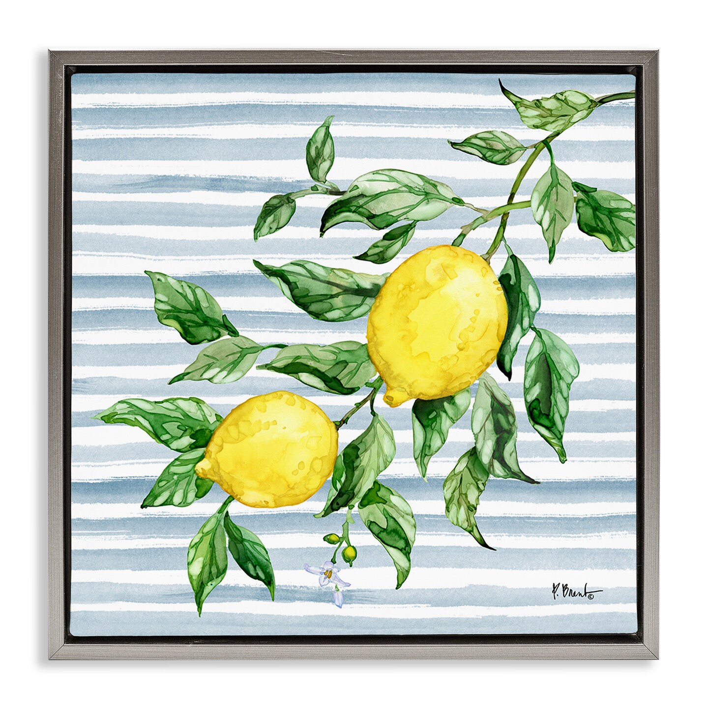 Stupell Industries Juicy Lemon Vine on Blue Floating Frame, design by Paul Brent