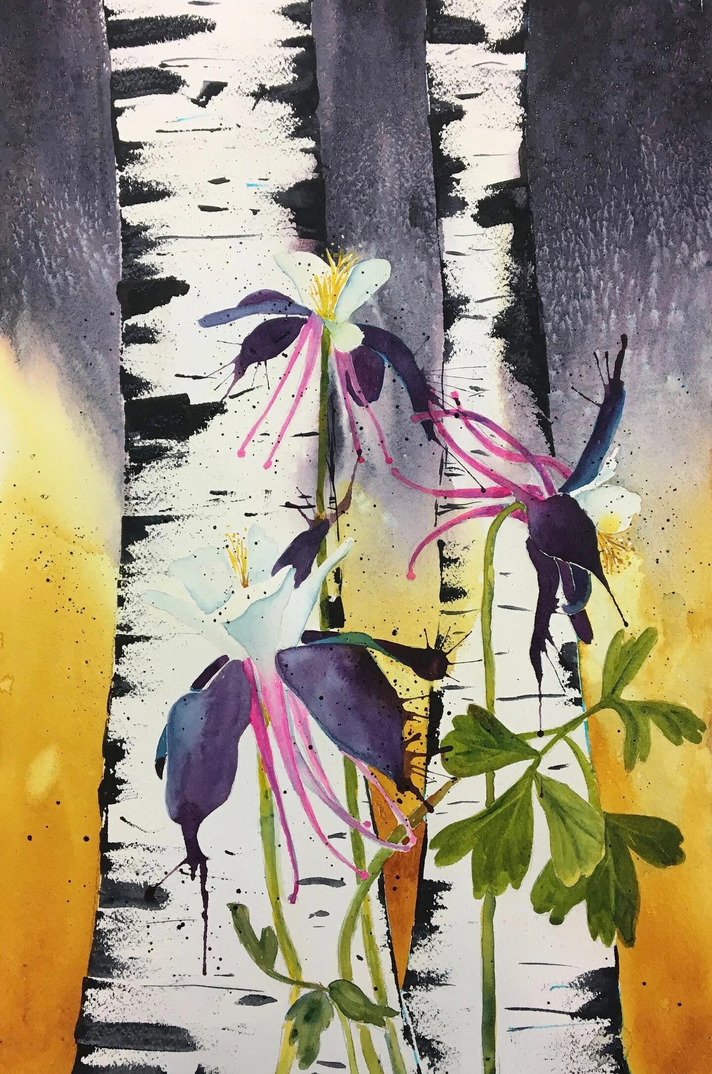 Aspen Trees with Blue Columbine Flowers - Fine Art Print product 3