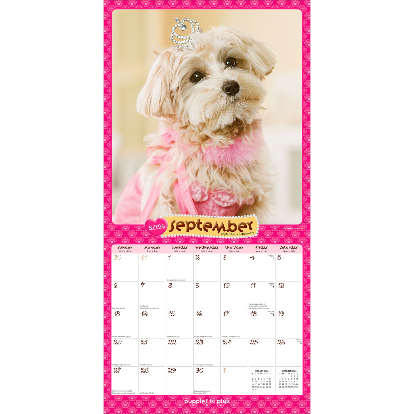 Puppies in Pink | 2026 12 x 24 Inch (Hanging) Monthly Square Wall Calendar | Plastic-Free | BrownTrout | Animals Fun Humor Pets