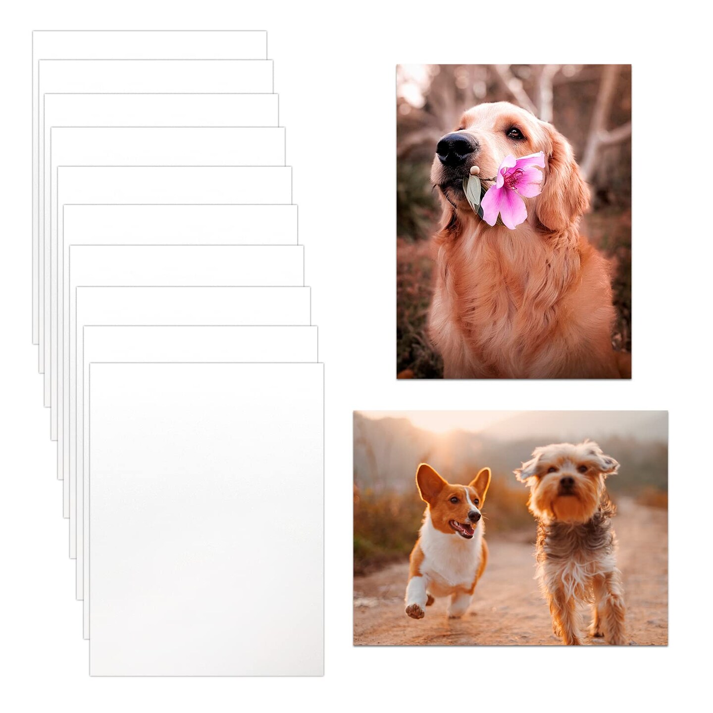 thumbnail image 2 of 20 Pcs Sublimation Photo Blanks 8x10 Inch Metal Sublimation Sign Blanks... 2 of 9