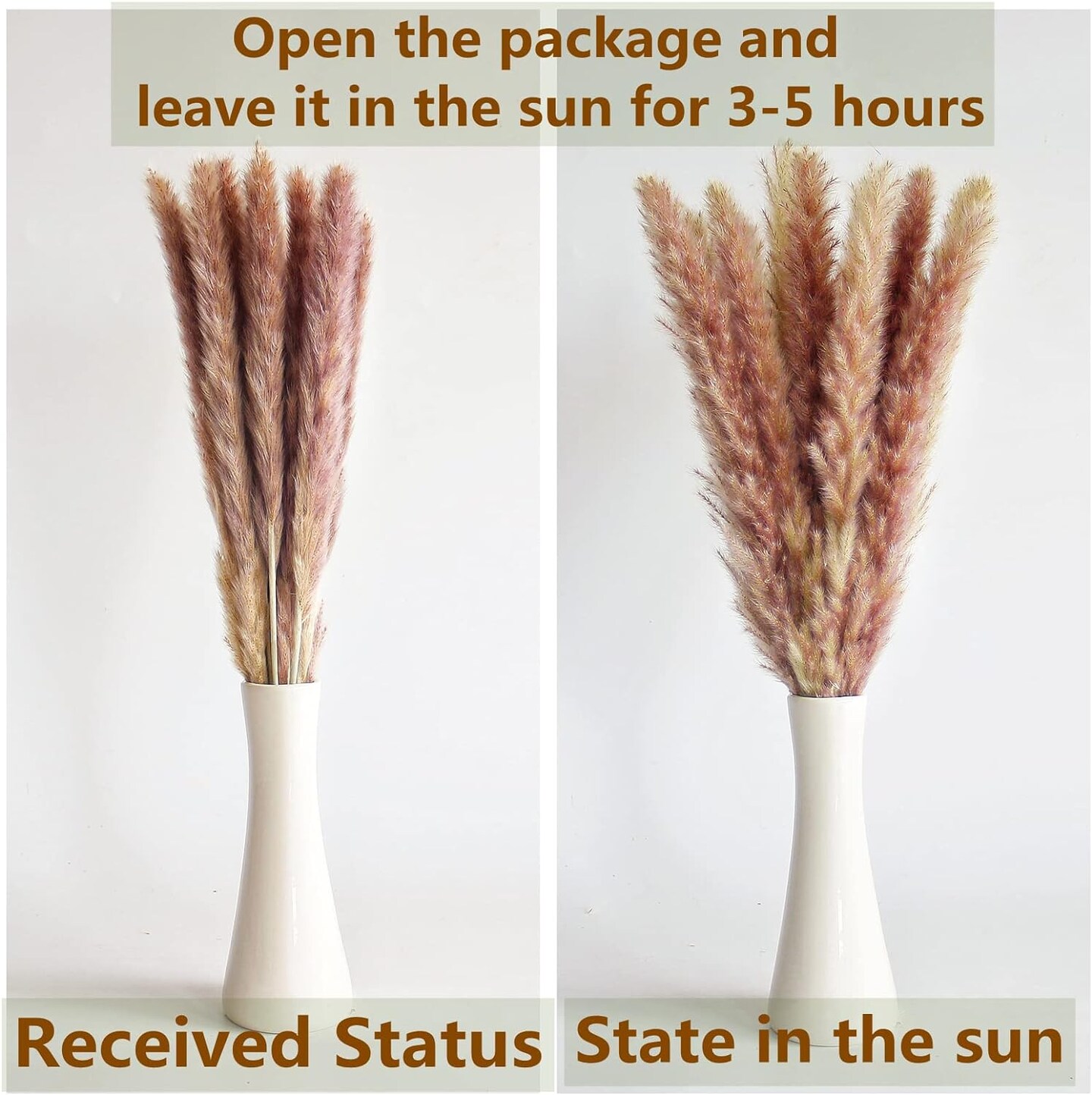 Boho Pampas Grass Decor, Naturally Dried Pompas, Bunny Tails Dried Flowers, and dried eucalyptus. Perfect for Weddings