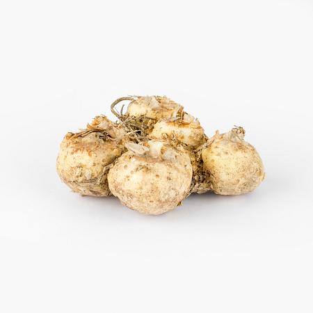 Strong Gold Calla Lily Bulb - 1 Bulb 14/16cm