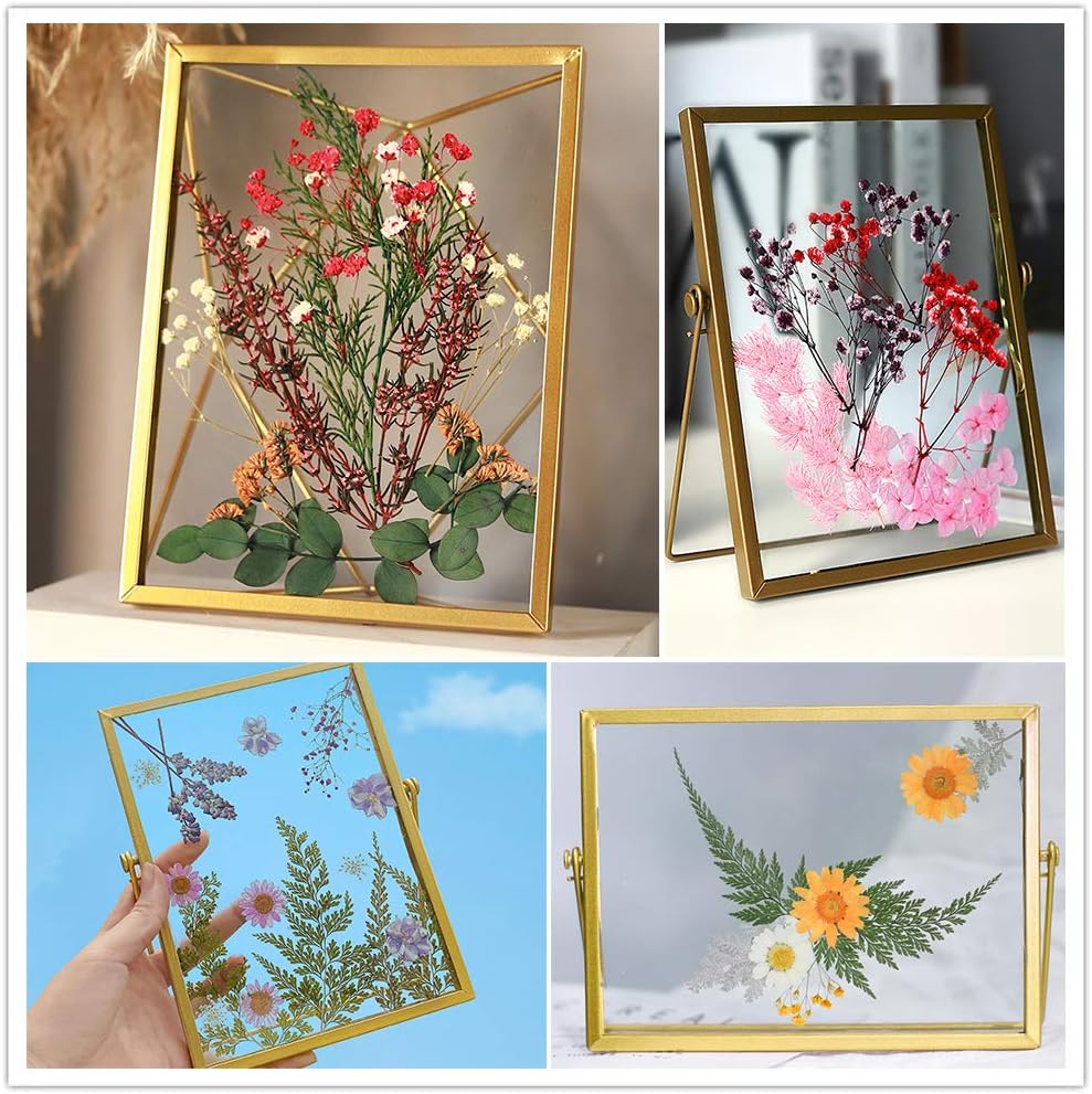 Dried Pressed Leaf Flowers-Multiple Colorful Pressed Flowers Daisies for Craft Resin Jewelry Making Art Craft DIY(Violet)