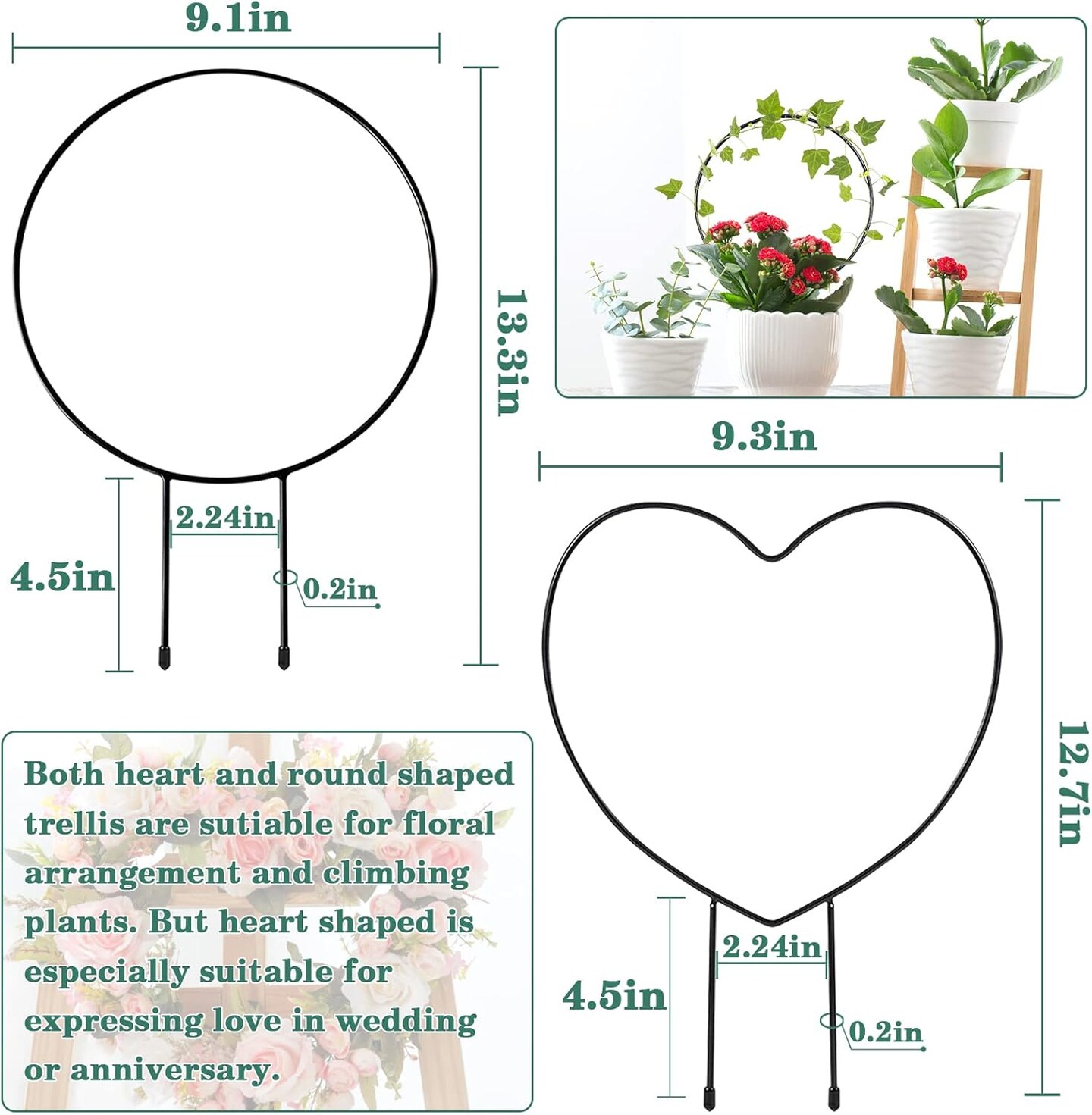 Black Metal Plant Trellis for Climbing Vines
