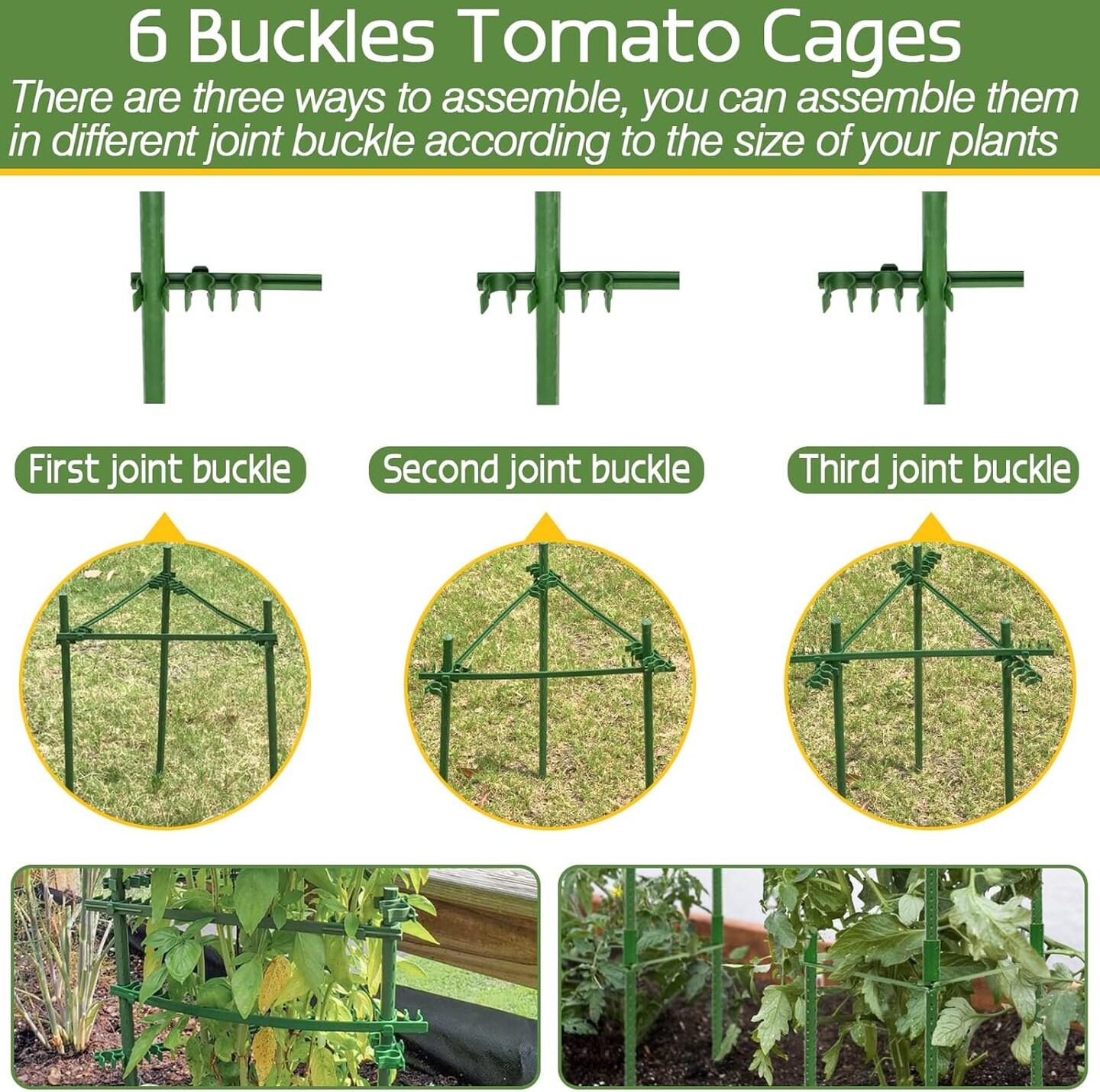 6 Pack Trellis for Pots for Garden