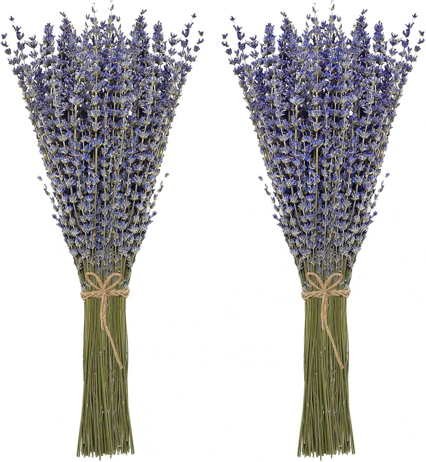 Dried Lavender Bundles 100 Natural Dried Lavender Flowers for Home Decoration, Photo Props, Home Fragrance, 2 Bundles Pack