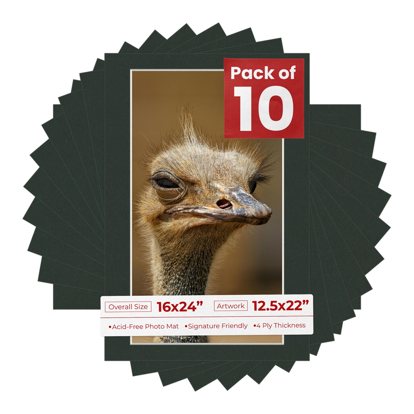 Textured Black Mat Board for 16x24 Frames - Fits 12.5x22 Photos