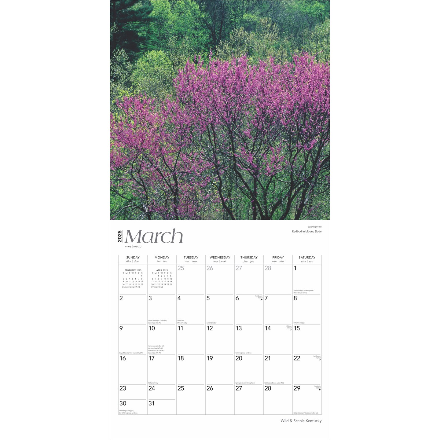 Kentucky Wild &#x26; Scenic | 2025 12 x 24 Inch Monthly Square Wall Calendar | Plastic-Free | BrownTrout | USA United States of America Southeast State Nature