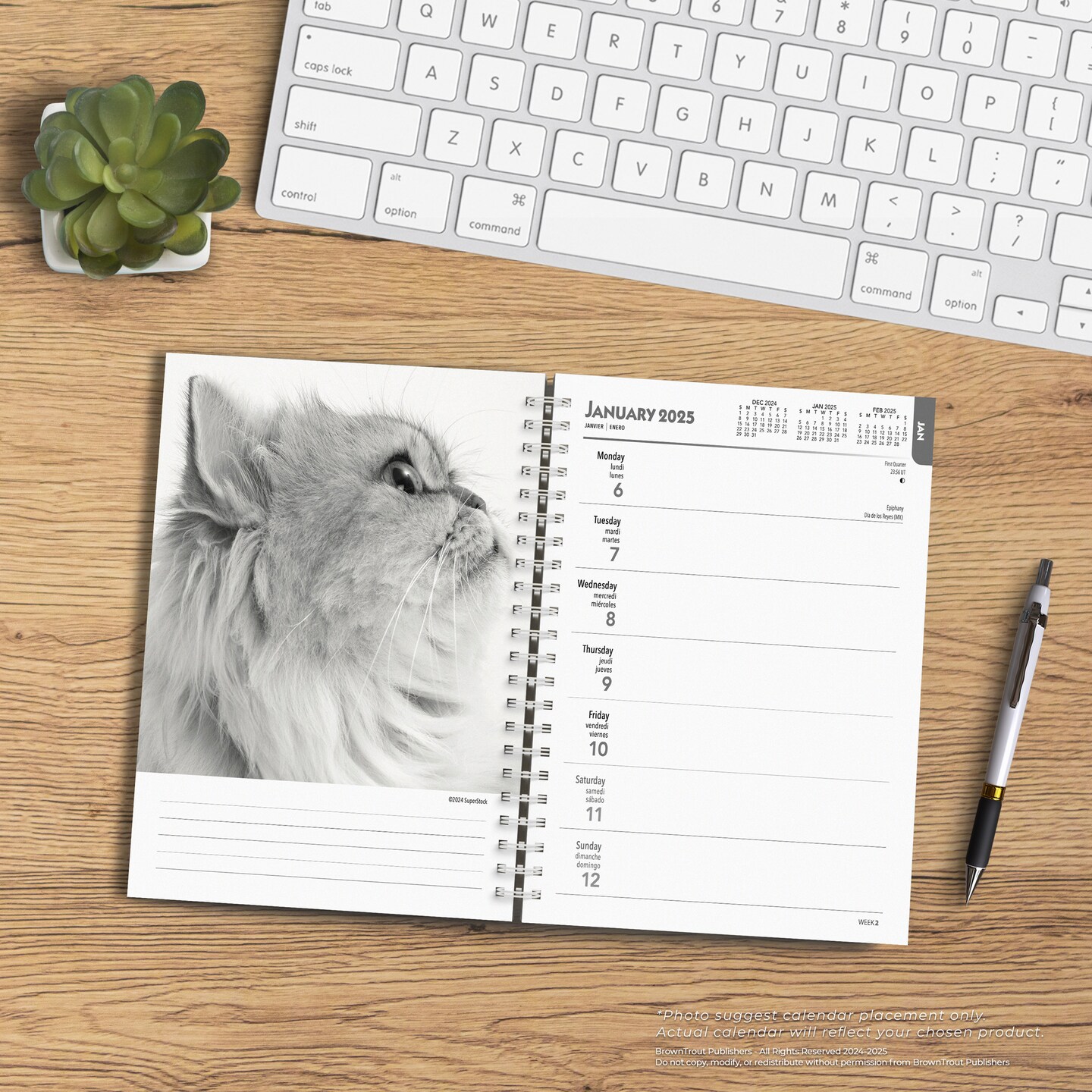 The BrownTrout Portrait Series: The Regal Cat | 2025 6 x 7.75 Inch Spiral-Bound Wire-O Weekly Engagement Planner Calendar | New Image Every Week | Pet Kitten Feline