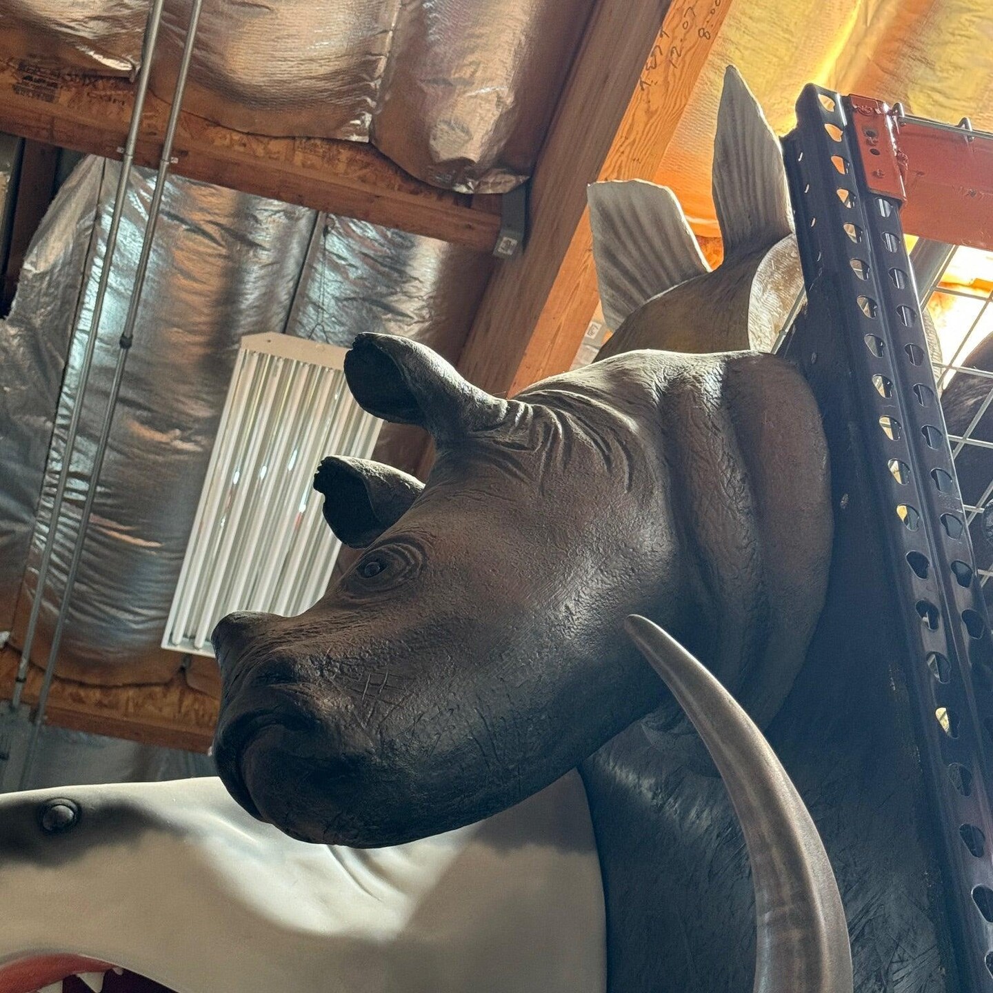 Baby Rhinoceros Head Life Size Statue