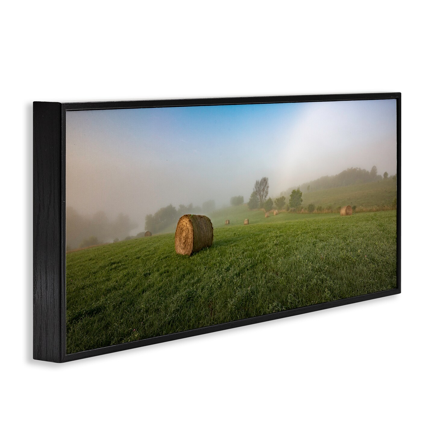 Stupell Industries Hay Bales Country Horizon Framed Giclee Wall Art Design by Marty Hulsebos