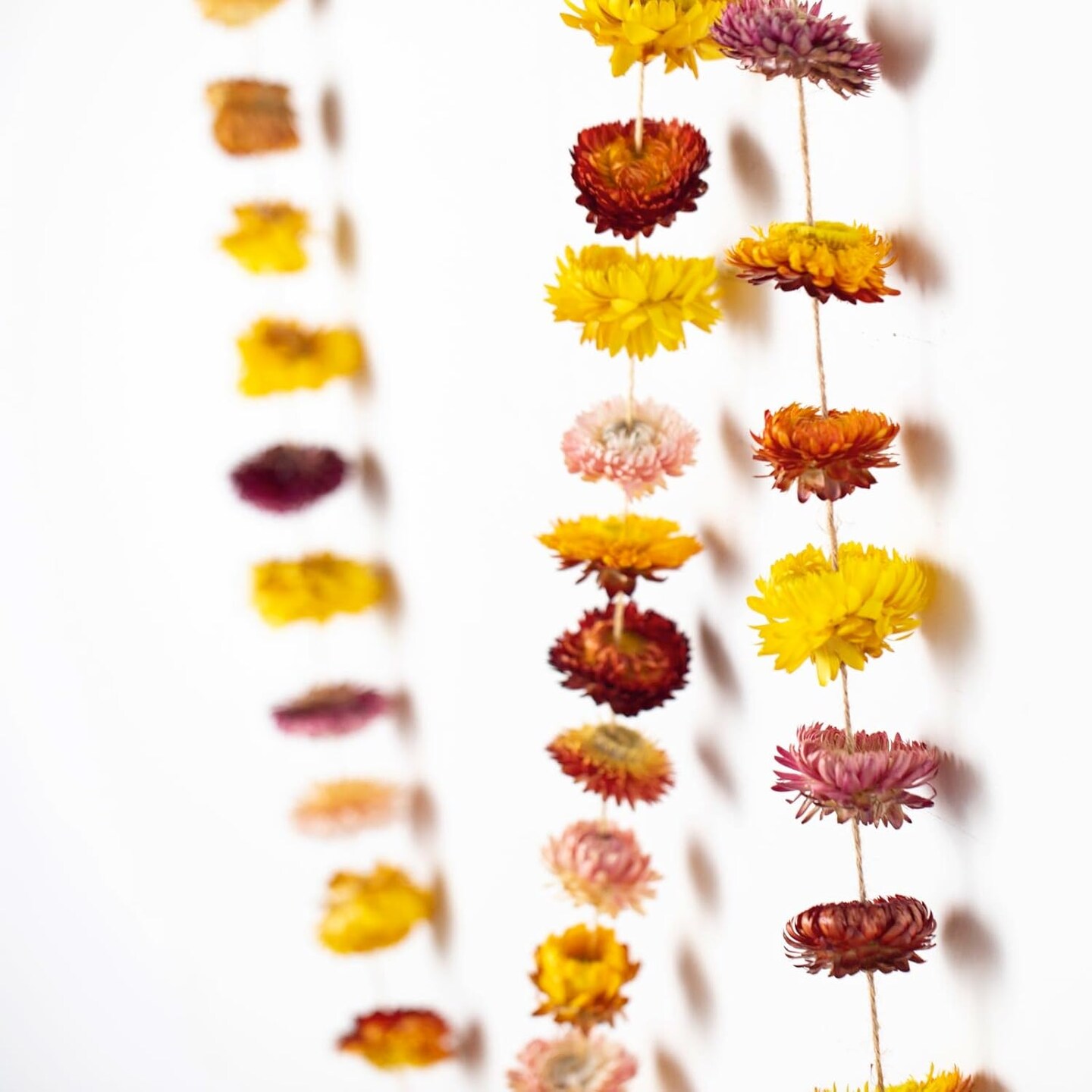 Garland Real Daisy Sunflower Garlands Dry Flower Chain