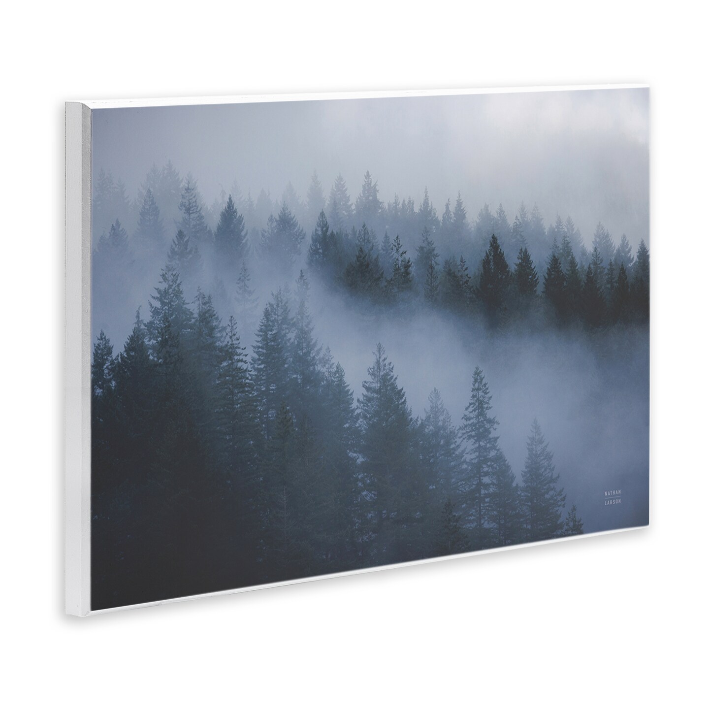 Stupell Industries Fog Filled Trees Landscape Wall Plaque Art Design by Nathan Larson