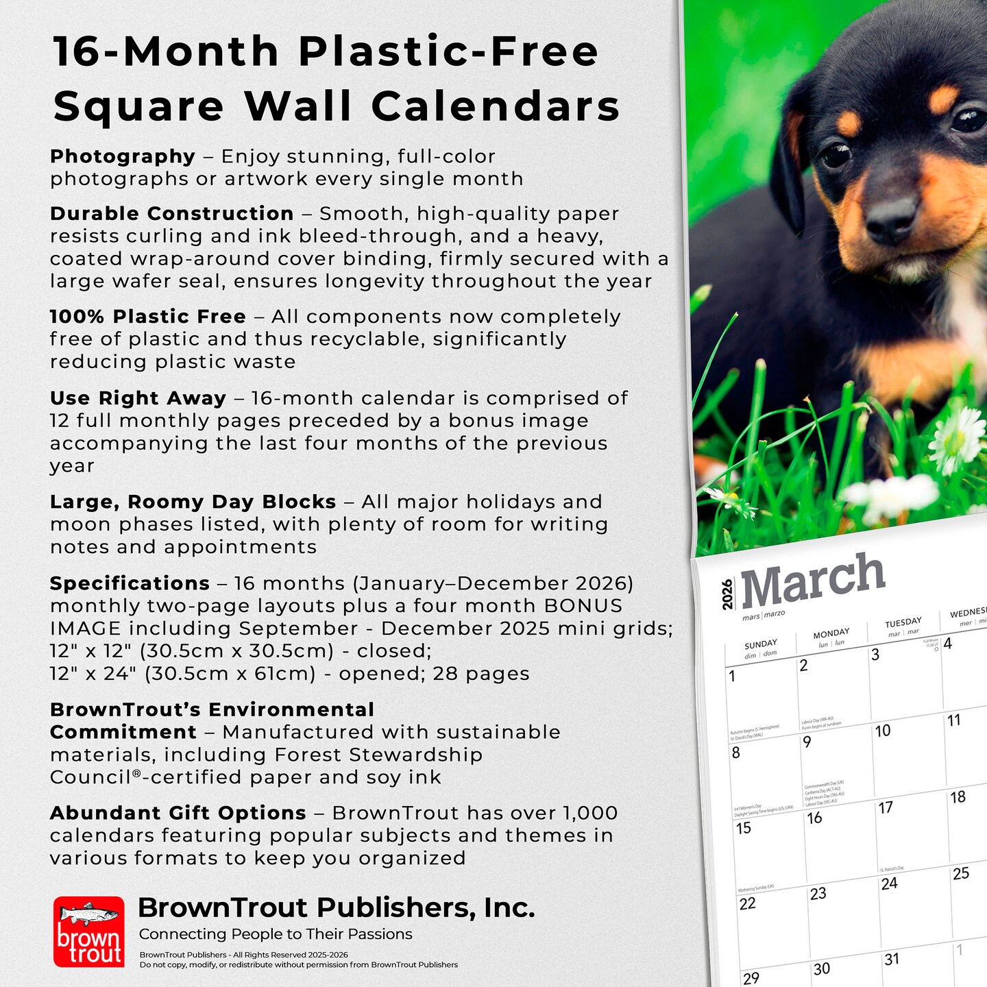 Dachshund Puppies | 2026 12 x 24 Inch (Hanging) Monthly Square Wall Calendar | Plastic-Free | BrownTrout | Animals Dog Breeds Puppy
