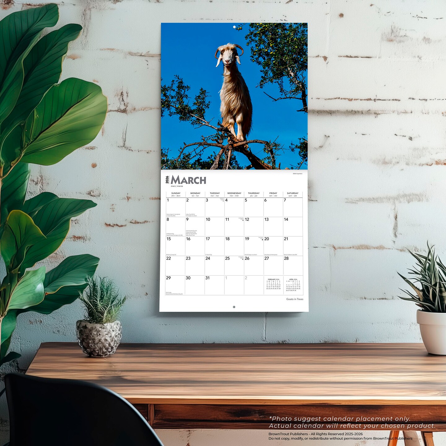 Goats in Trees | 2026 12 x 24 Inch (Hanging) Monthly Square Wall Calendar | Plastic-Free | BrownTrout | Domestic Funny Farm Animals