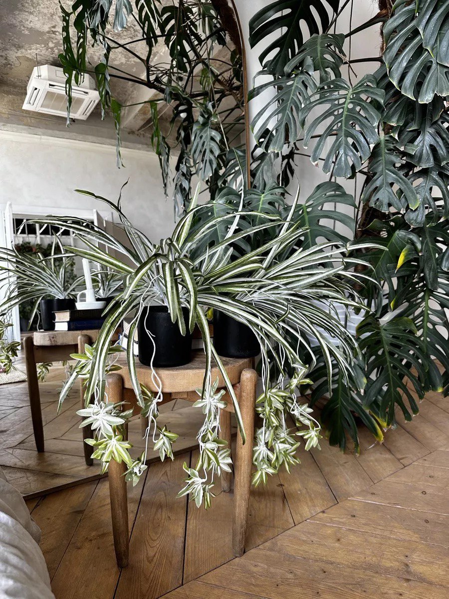 Artificial Chlorophytum Fake Spider Plant Decorative Silk Plant Indoor Wall Hanging Plants for Home Garden Verandah