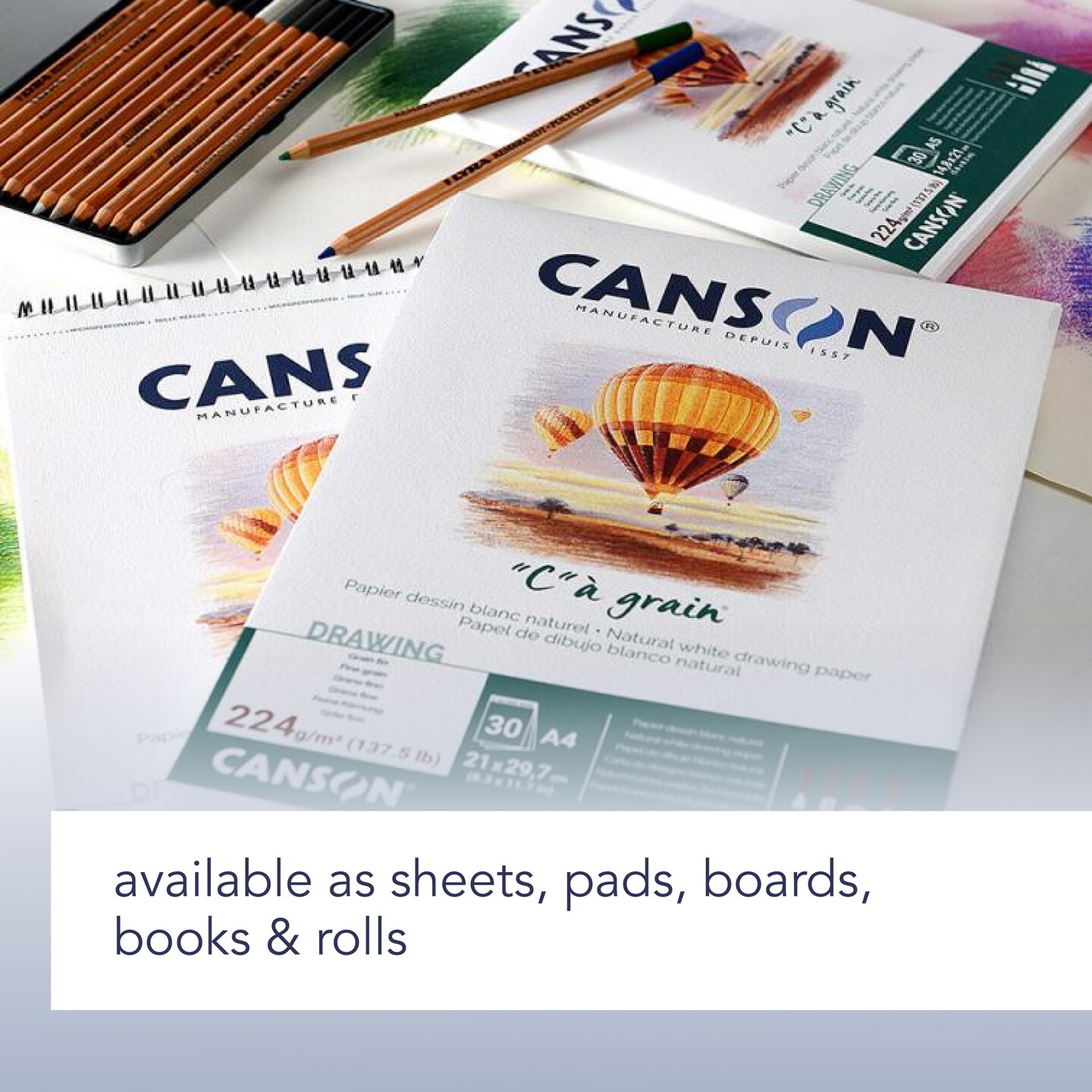 Canson Artist Series C Grain Drawing Sheet 180G 19.5"X25.5"-Sheet