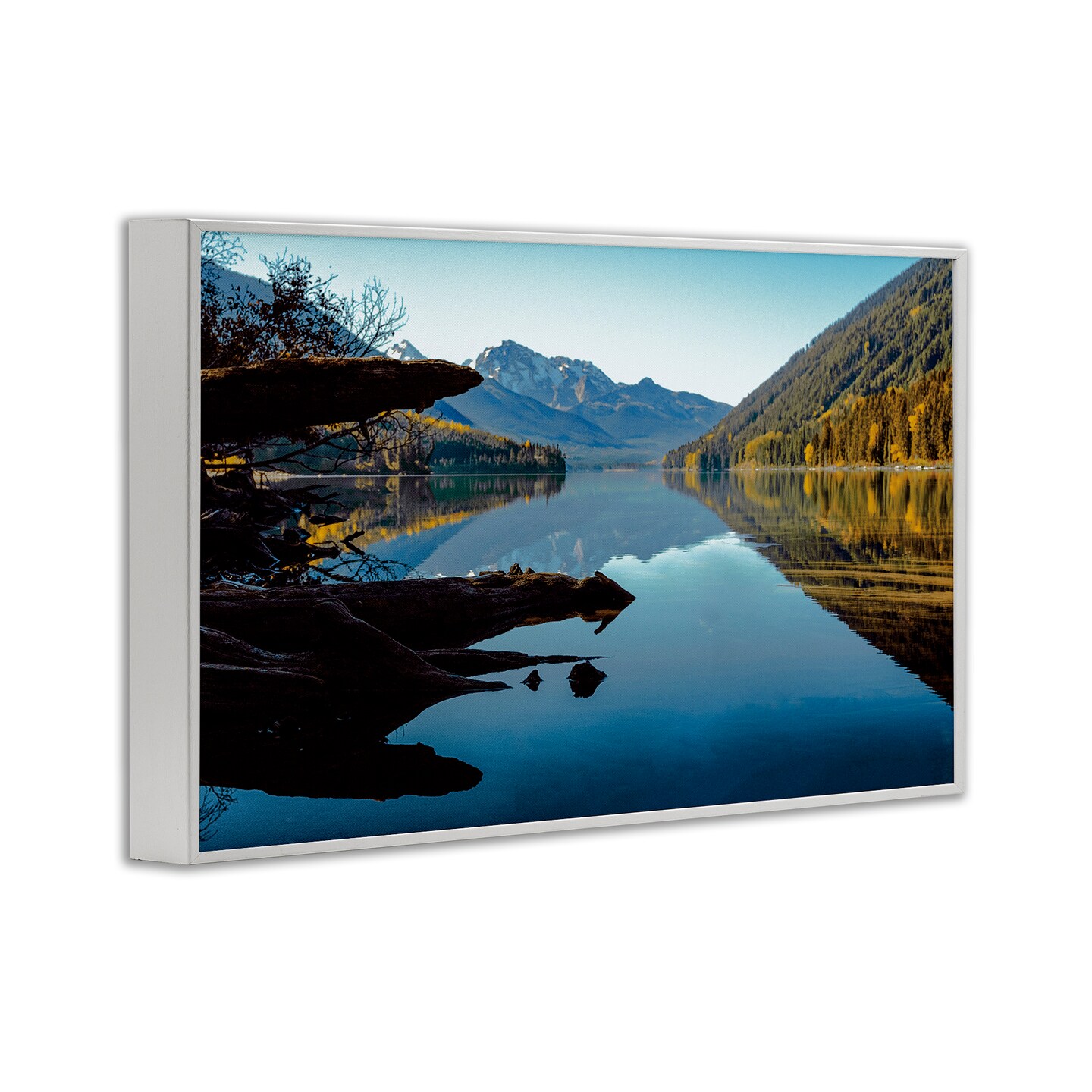 Stupell Industries Evergreen Mirrors River Reflection Framed Giclee, design by Madison Starnes Photography