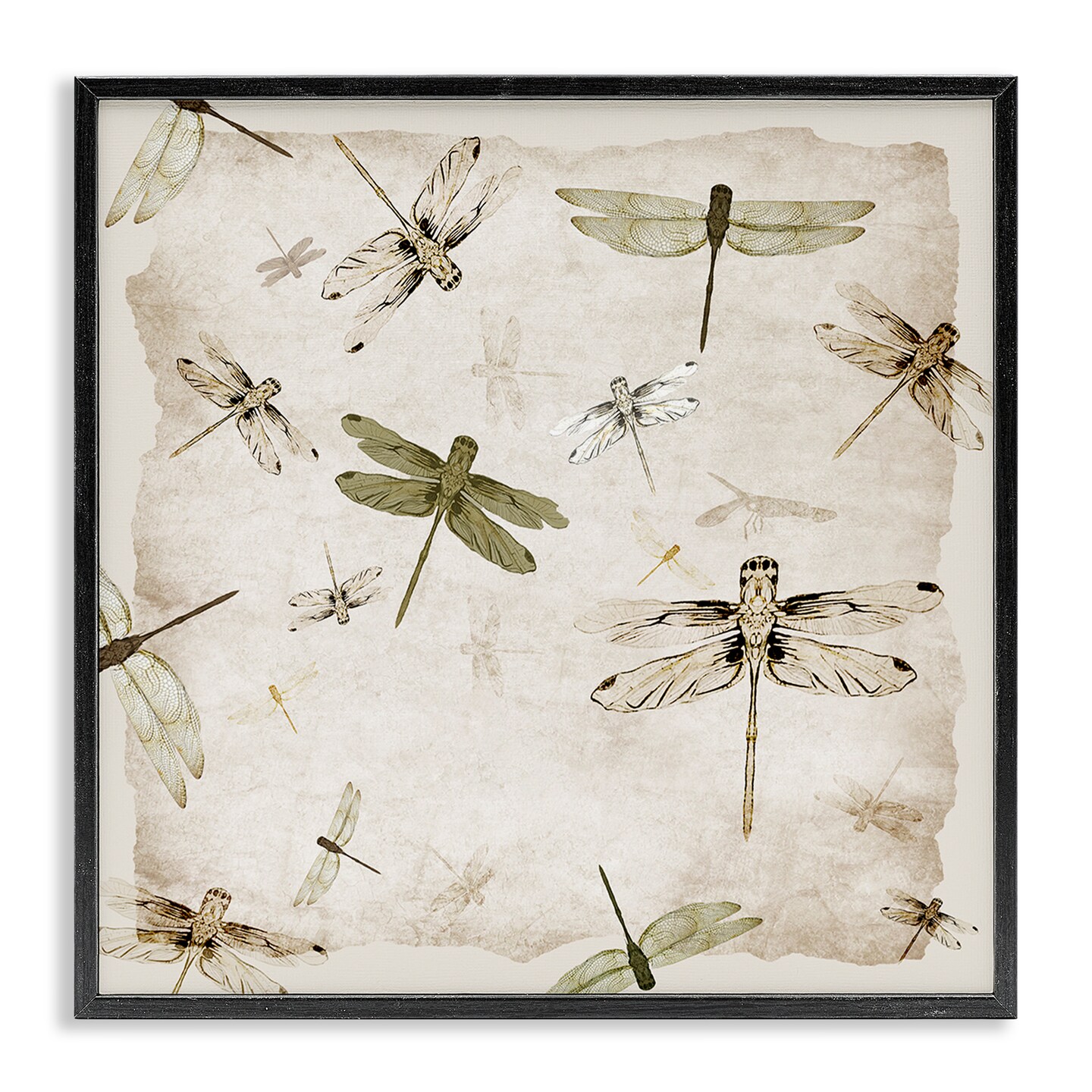 Stupell Industries Vintage Grace Dragonflies Framed Giclee, design by Jacob Q