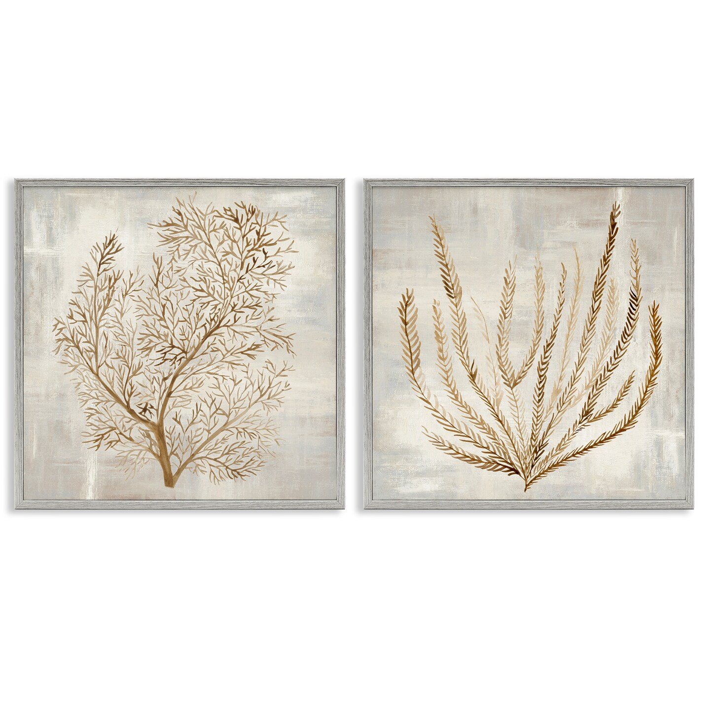 Stupell Industries Beige Tides Coral Branches 2pc Framed Giclee Set, design by Hannah Dawson