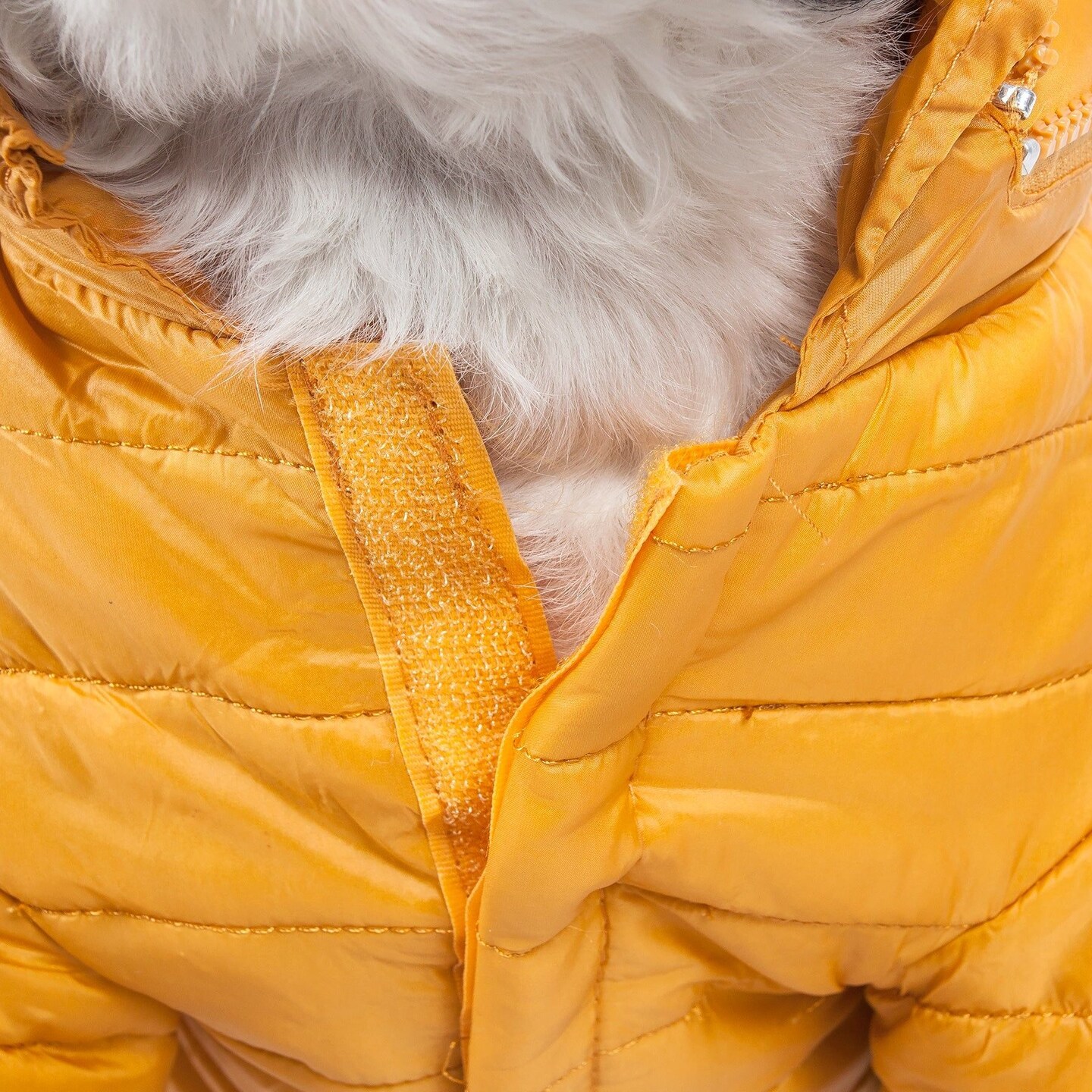 Edge Collections - Large - Orange - Adjustable Lightweight Sporty Avalanche Pet Coat - 1 Piece