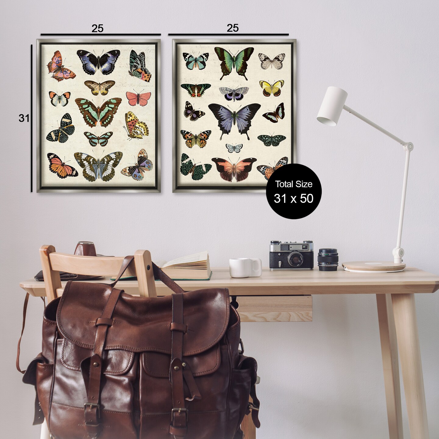 Stupell Industries Antique Butterfly Collection 2pc Floater Framed Canvas Wall Art Set Design by Susan Arnot