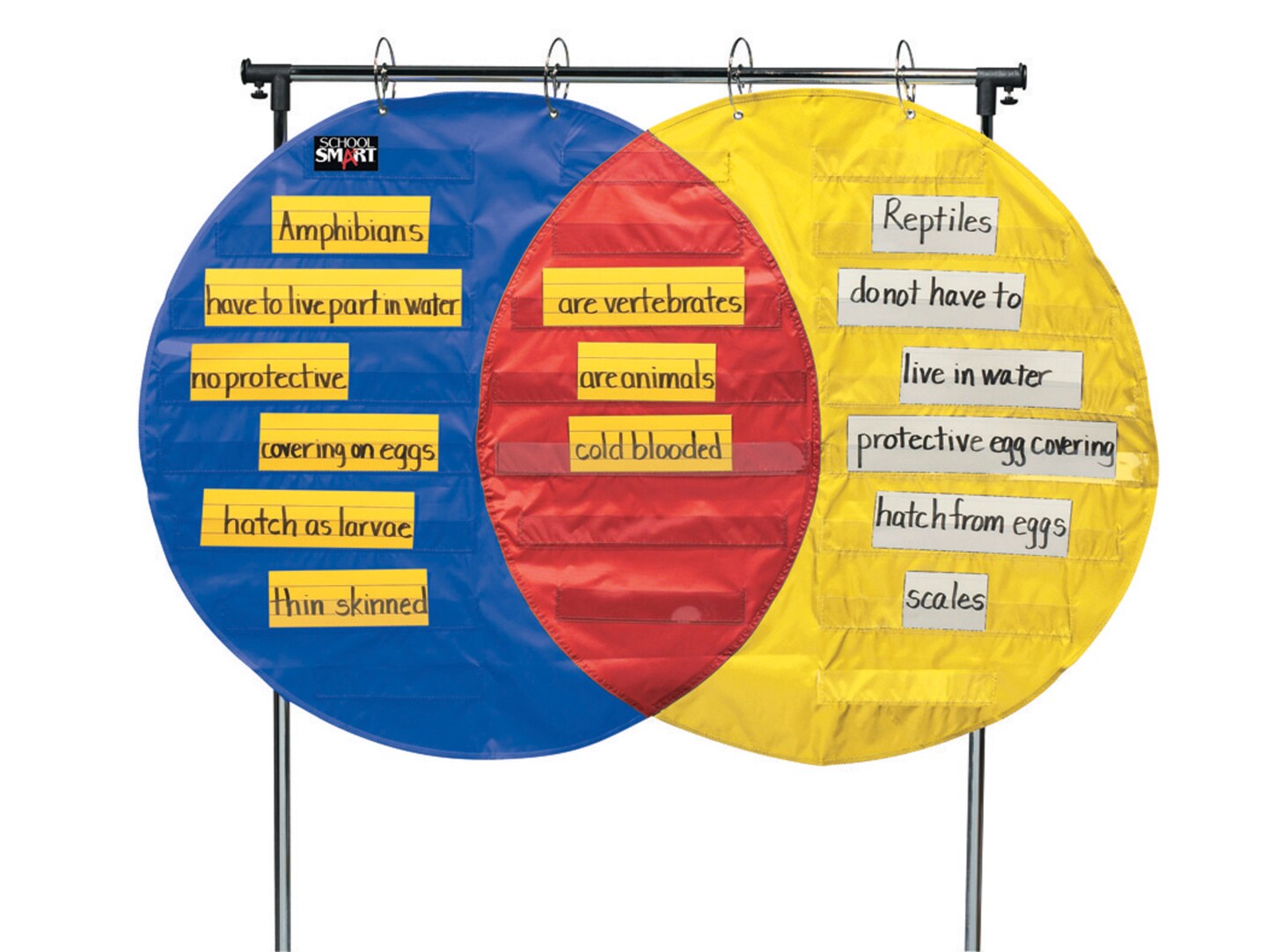 School Smart Venn Diagram Pocket Chart with 3 Circles, 23 Pockets, 35-1/2 x 54 Inches
