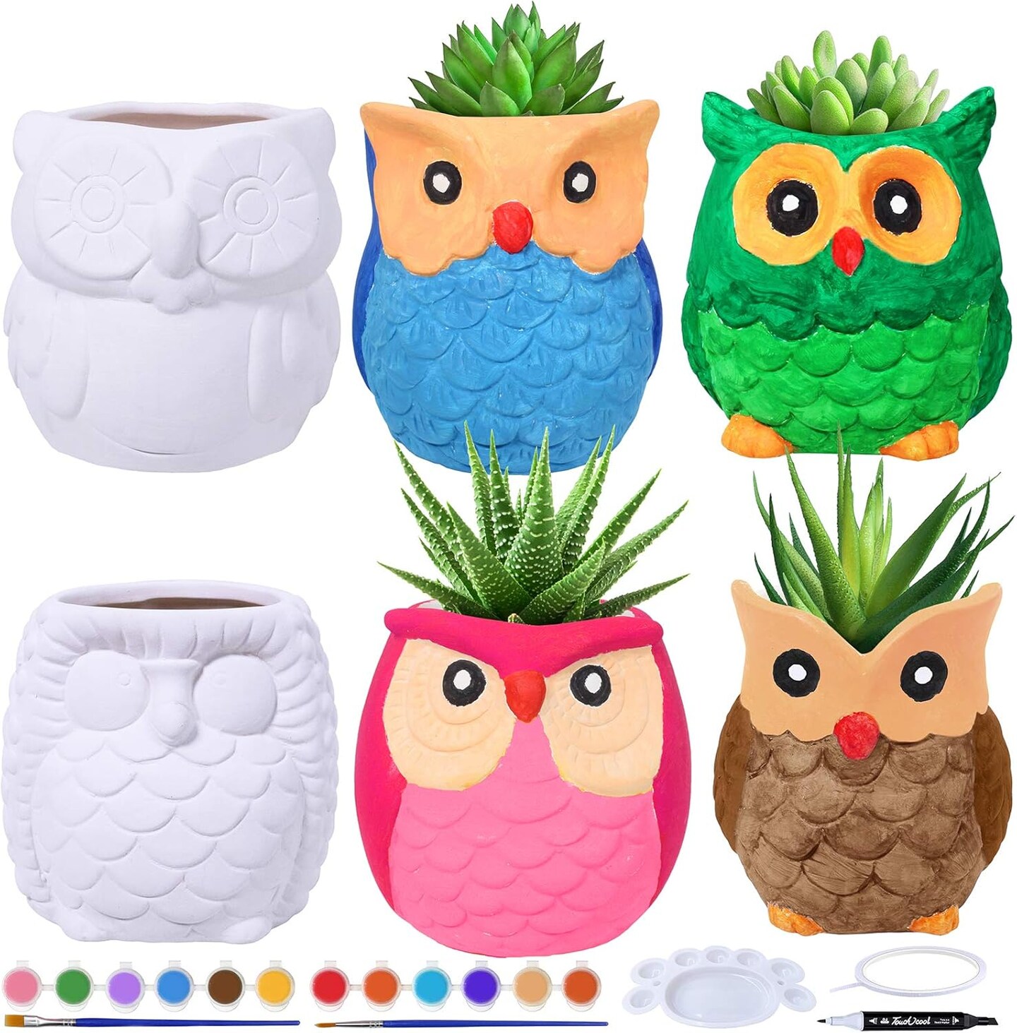 6 Sets DIY Ceramic Owl Succulent Pots Paint Craft Kit