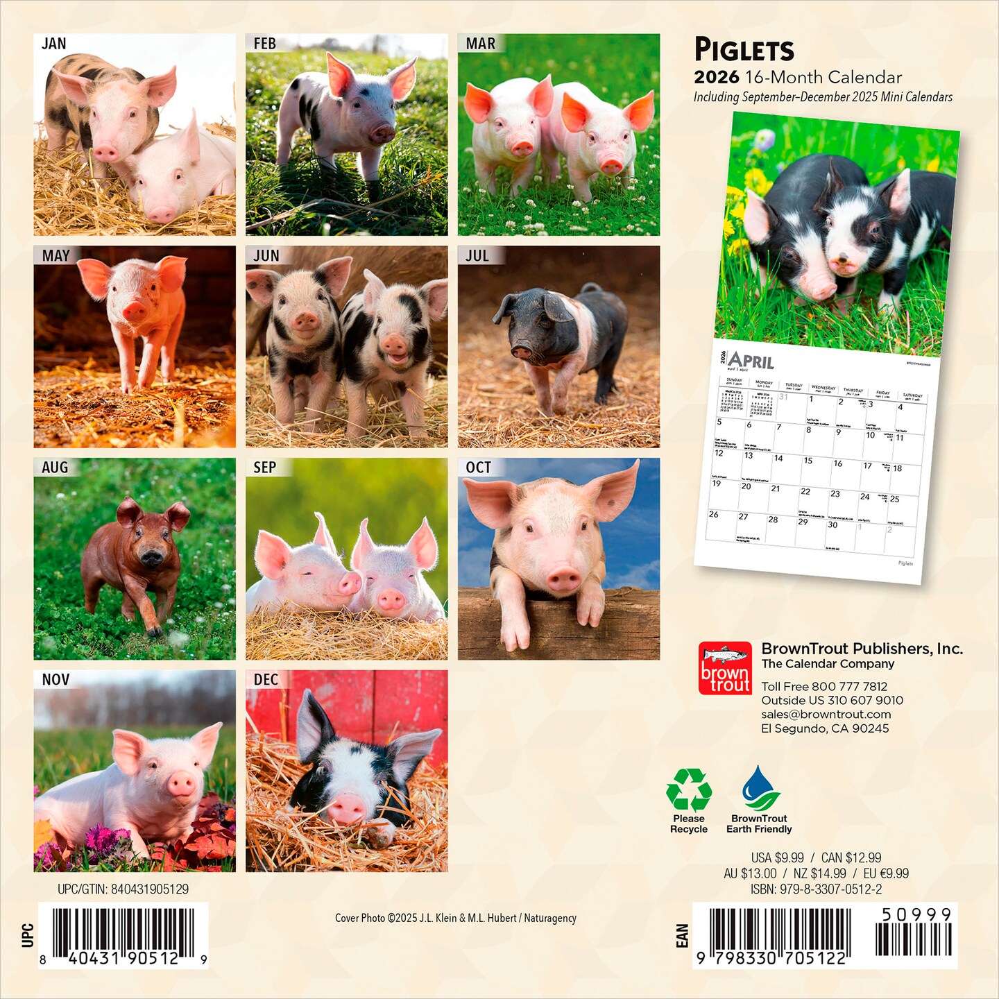 Piglets | 2026 7 x 14 Inch (Hanging) Monthly Mini Wall Calendar