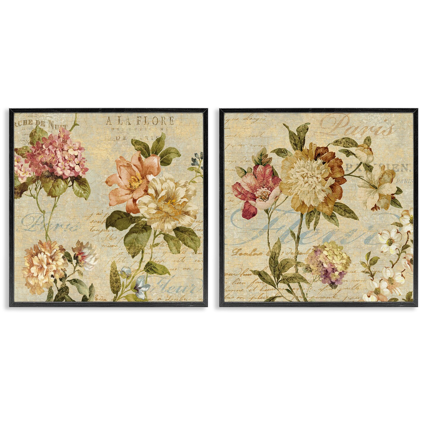 Stupell Industries Vintage French Floral with Script Framed Giclee Art