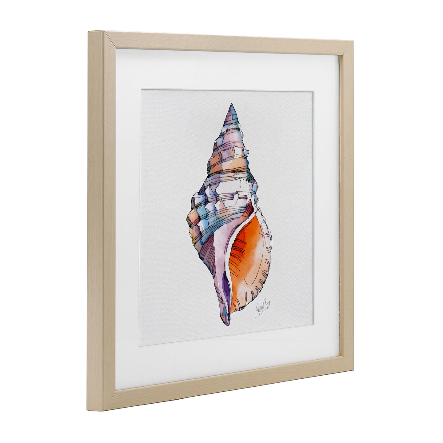 Stupell Industries Sunrise Conch Shell Framed Print Under Glass, design by Shelly Craig