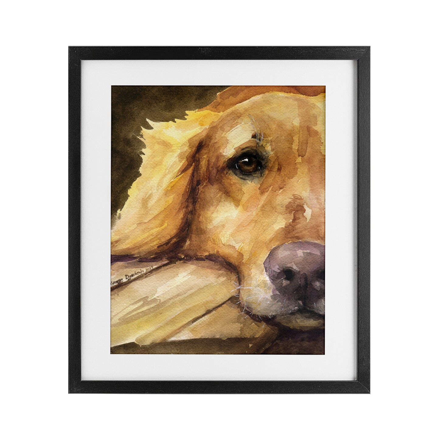 Stupell Industries Sight of Golden Retriever Framed Print Under Glass, design by George Dyachenko
