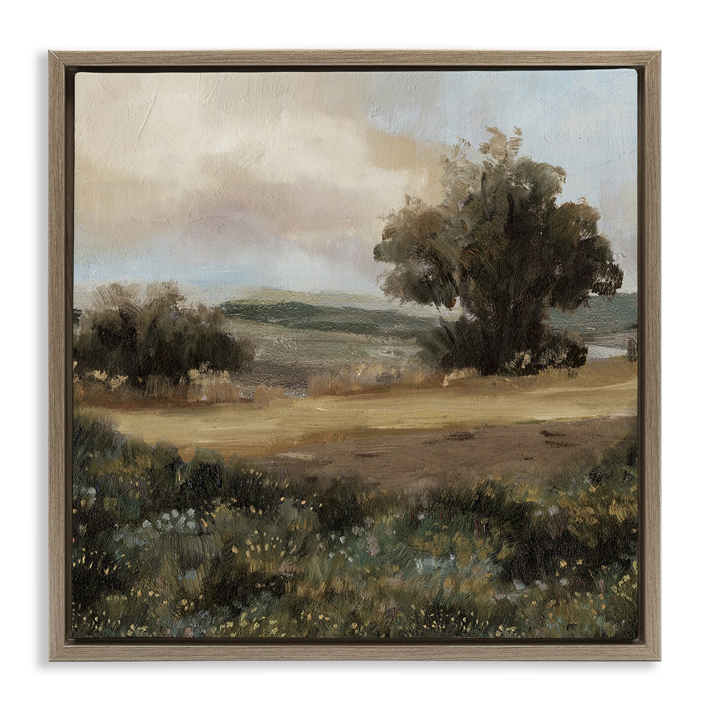 Stupell Industries Vast Country Terrain Floater Framed Canvas Wall Art Design by Cloverfield & Co.