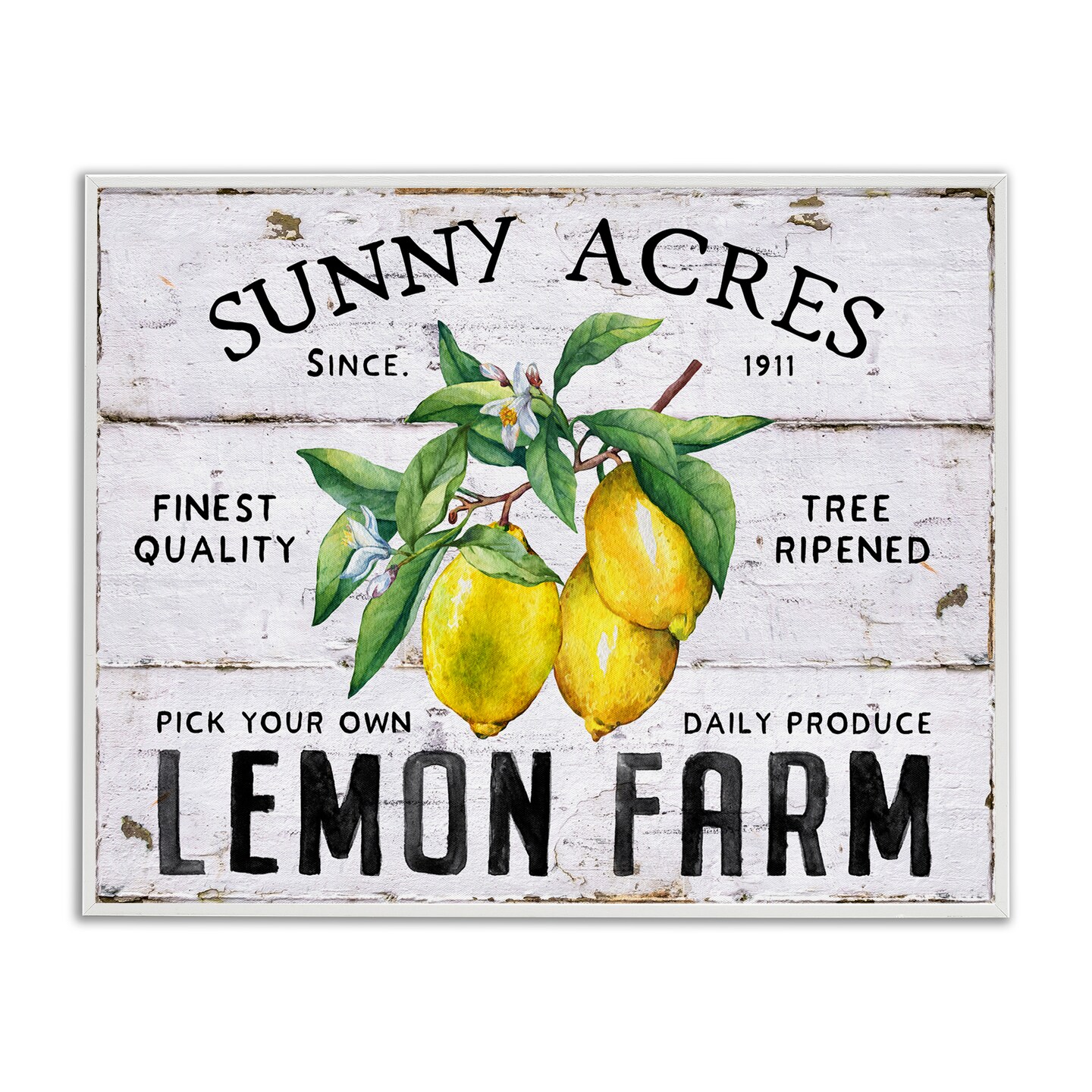 Stupell Industries Sunny Acres Lemon Farm Framed Giclee Wall Art Design by Creatif Belle