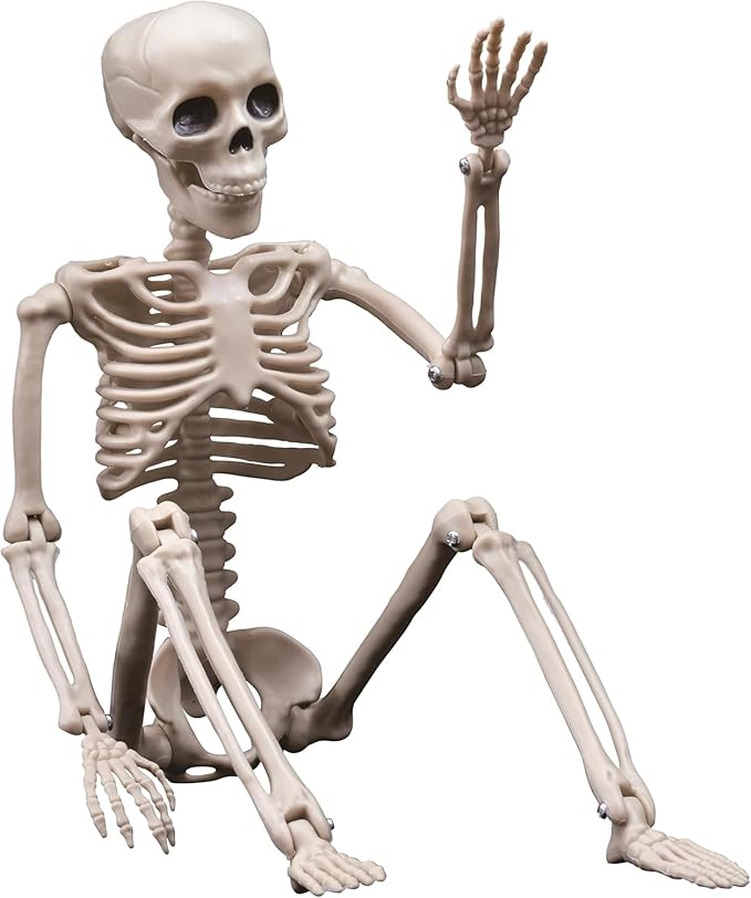 5 Pack Skeletons Halloween Decorations, 16&#x22; Plastic Full Body Posable Skeleton with Movable Joints, Small Hanging Skeleton for Halloween Outdoor Indoor Party Decor Haunted House Graveyard