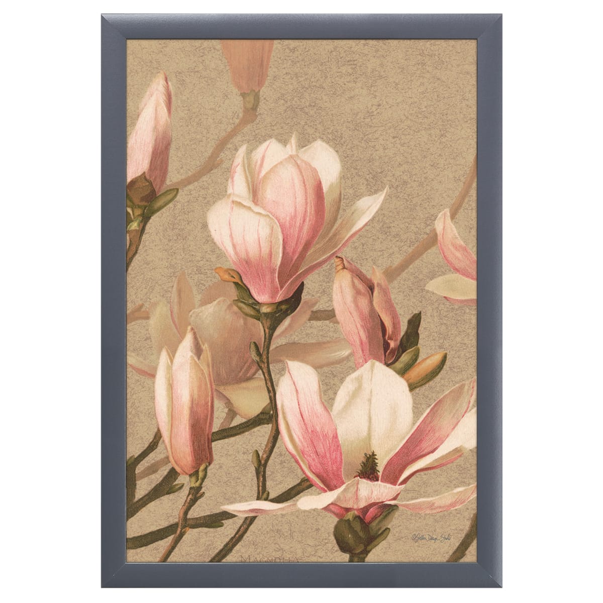 12" x 18" Antique Botanical Collection 4 Framed Wall Art, Contemporary Floral Home Décor, Plexiglass Facing and Hanging Hardware