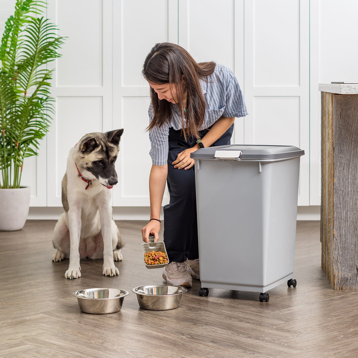 IRIS USA Dog Food Storage Container with Wheels, 2-Cup Scoop, Gray/Dark Gray