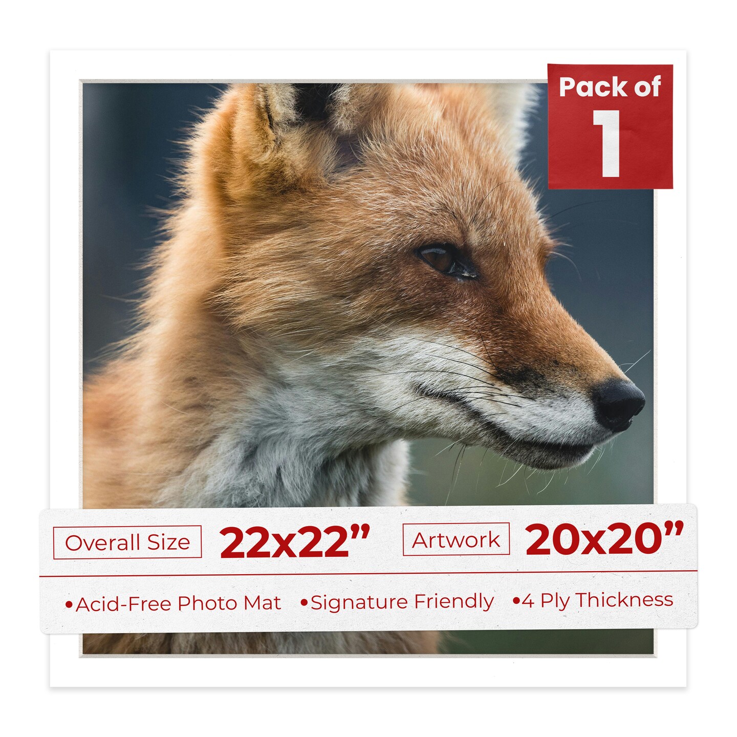 Textured White Mat Board for 22x22 Frames - Fits 20x20 Photos