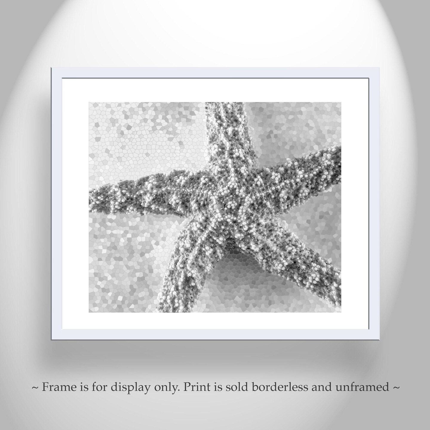 Black and White Photograph of Starfish as Bath Decor Ocean Inspired Art Print