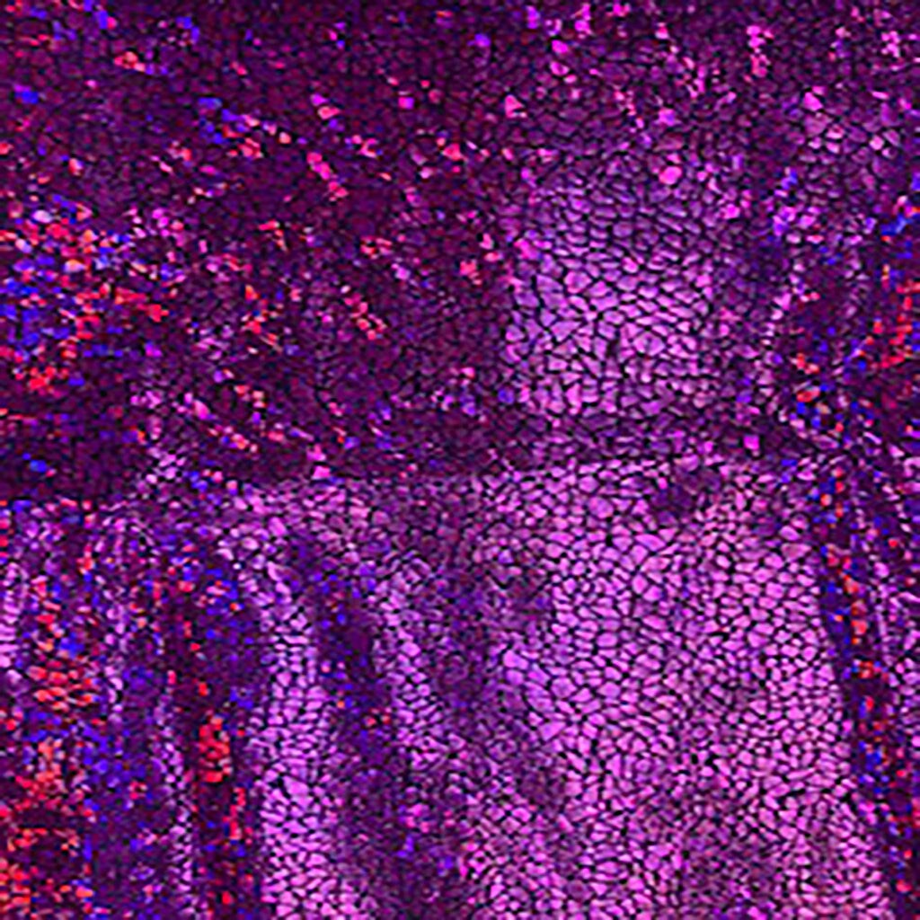 1 Yard Alligator print Hologram 4 Way Stretch Nylon Spandex Fabric 60” Width